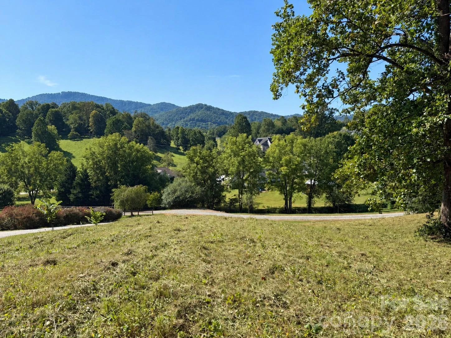 28 Shallow Branch Road - Photo 10
