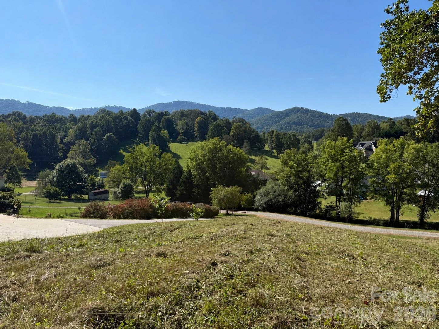 28 Shallow Branch Road - Photo 11