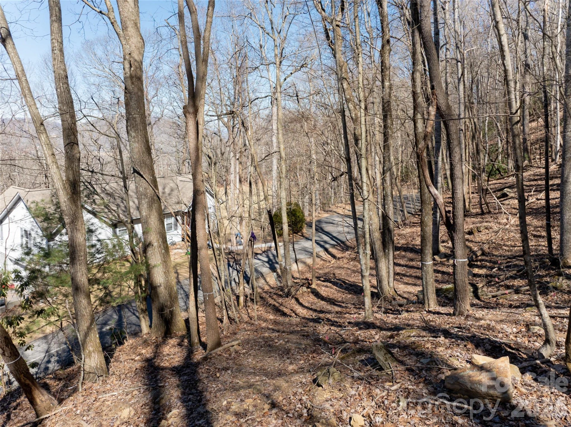 99999 Laurel Drive #12&13 - Photo 8
