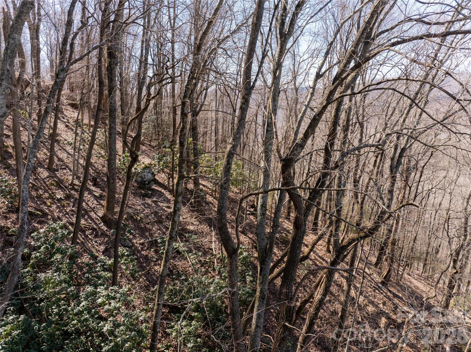 99999 Laurel Drive #12&13 - Photo 16