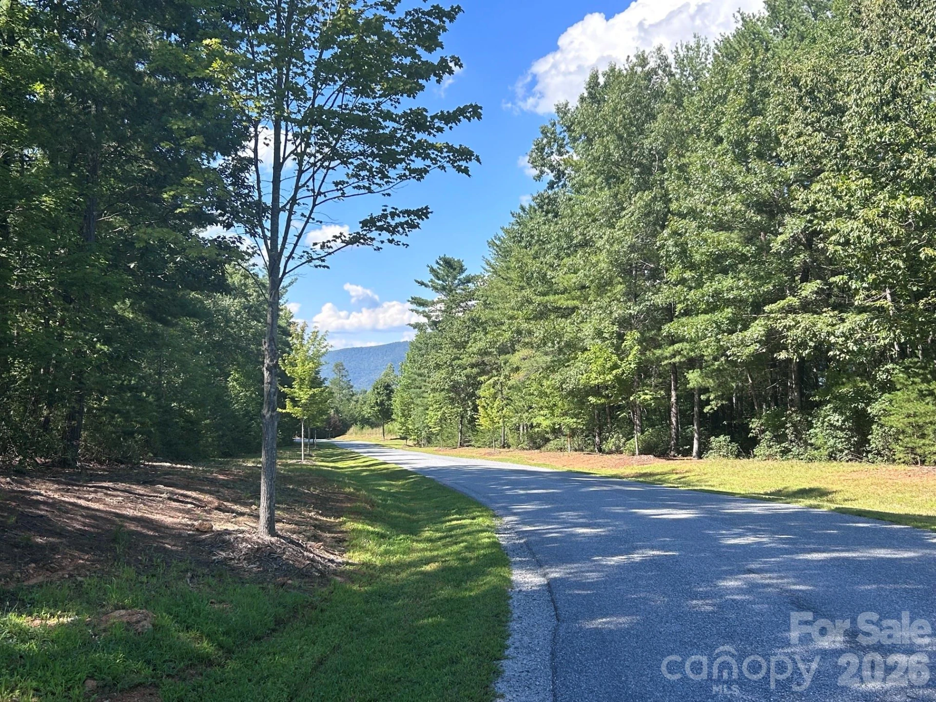 256 Beacon Ridge Drive #26-12 - Photo 2