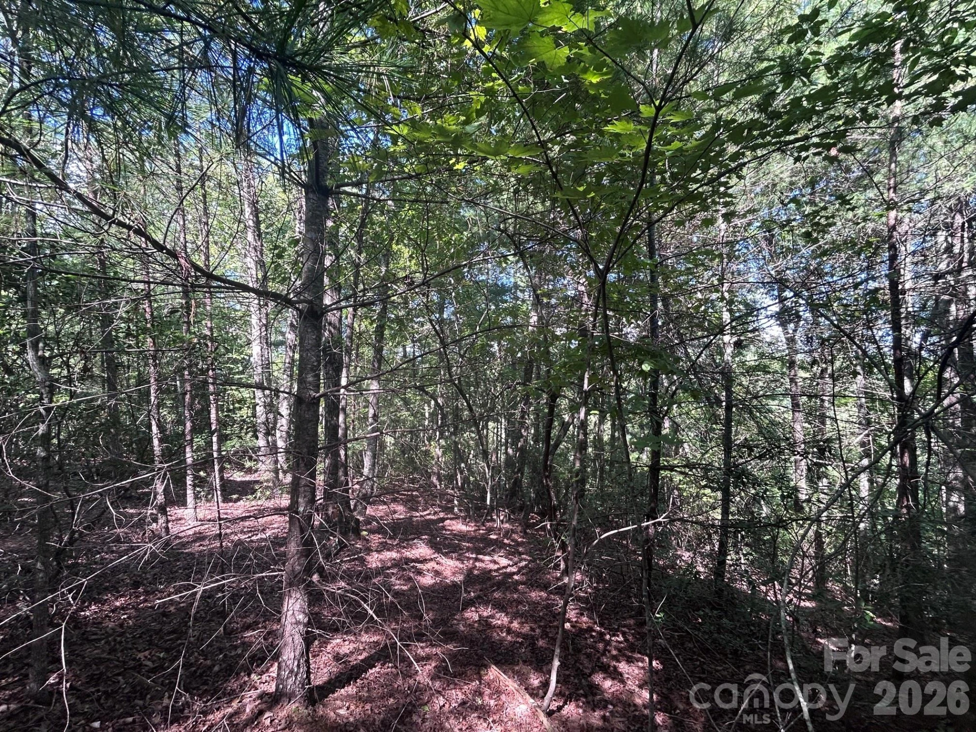 256 Beacon Ridge Drive #26-12 - Photo 6