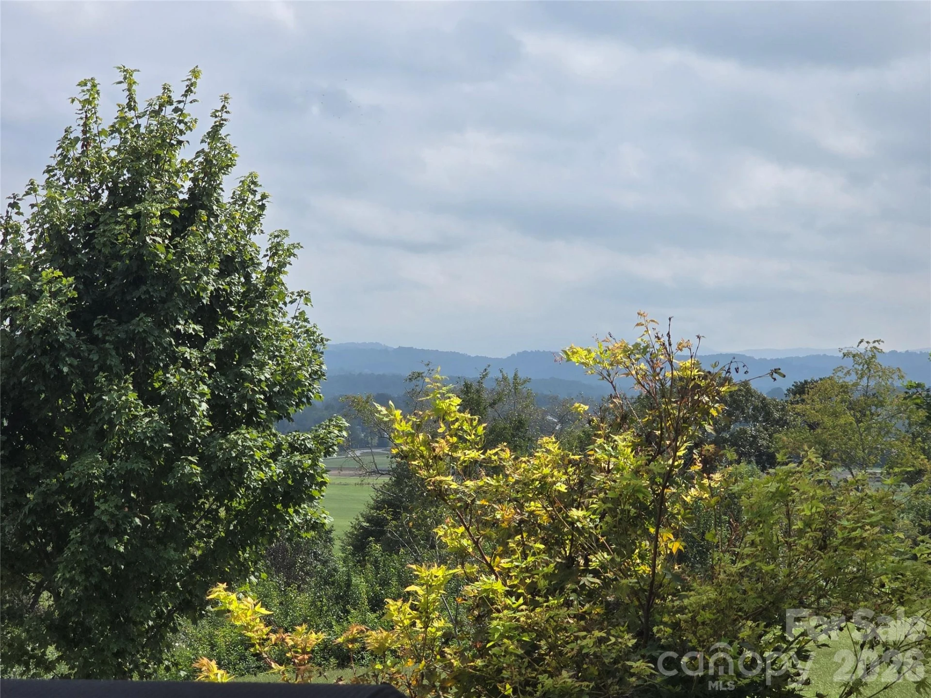 173 Pisgah Ridge Trail - Photo 11
