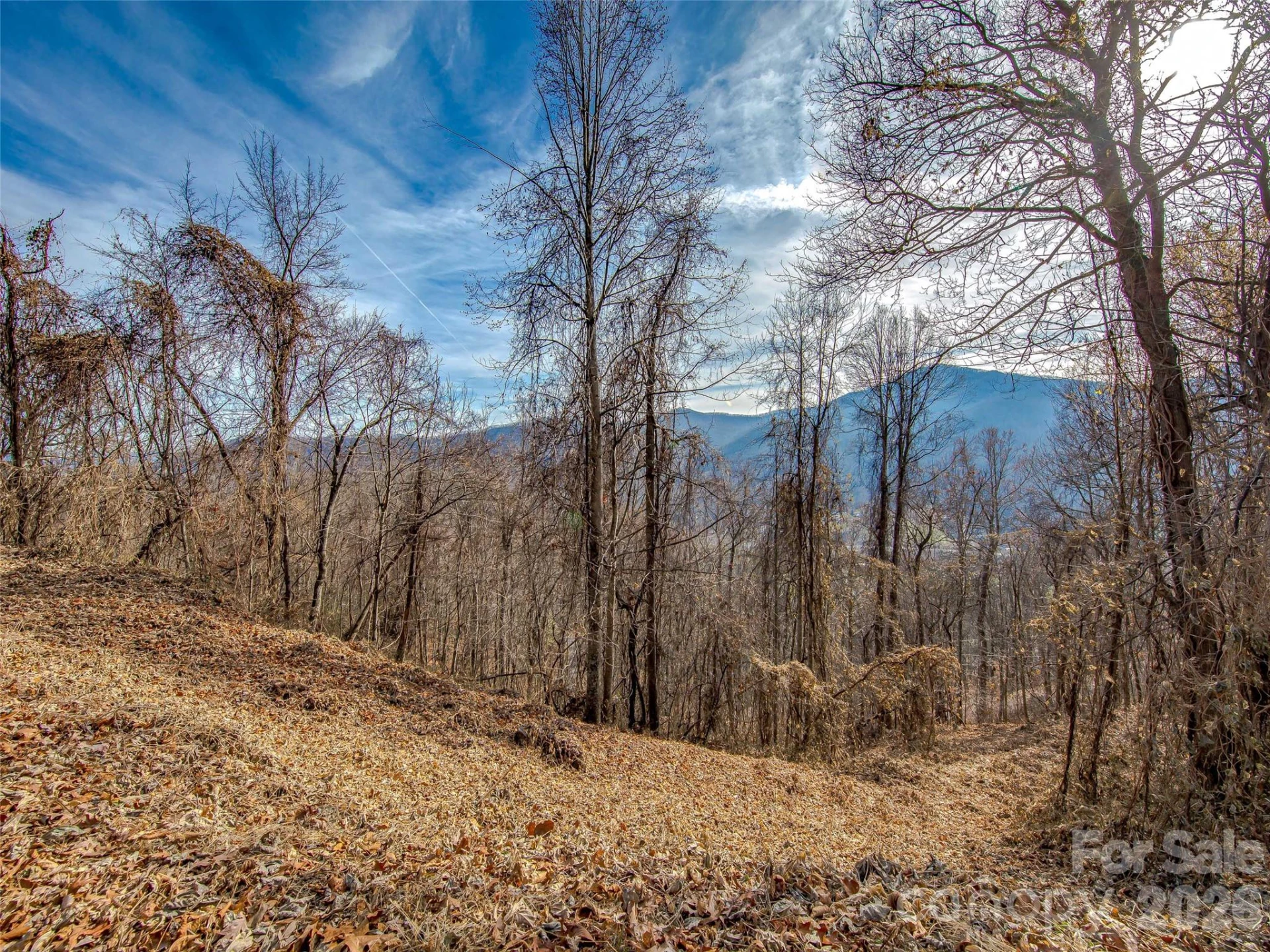 39 Grandview Cliff Heights
