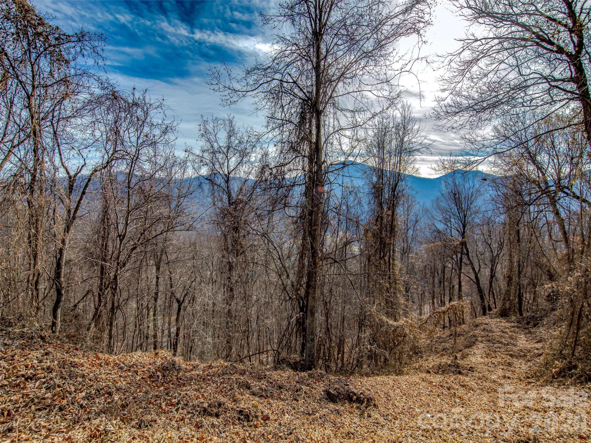 39 Grandview Cliff Heights - Photo 4