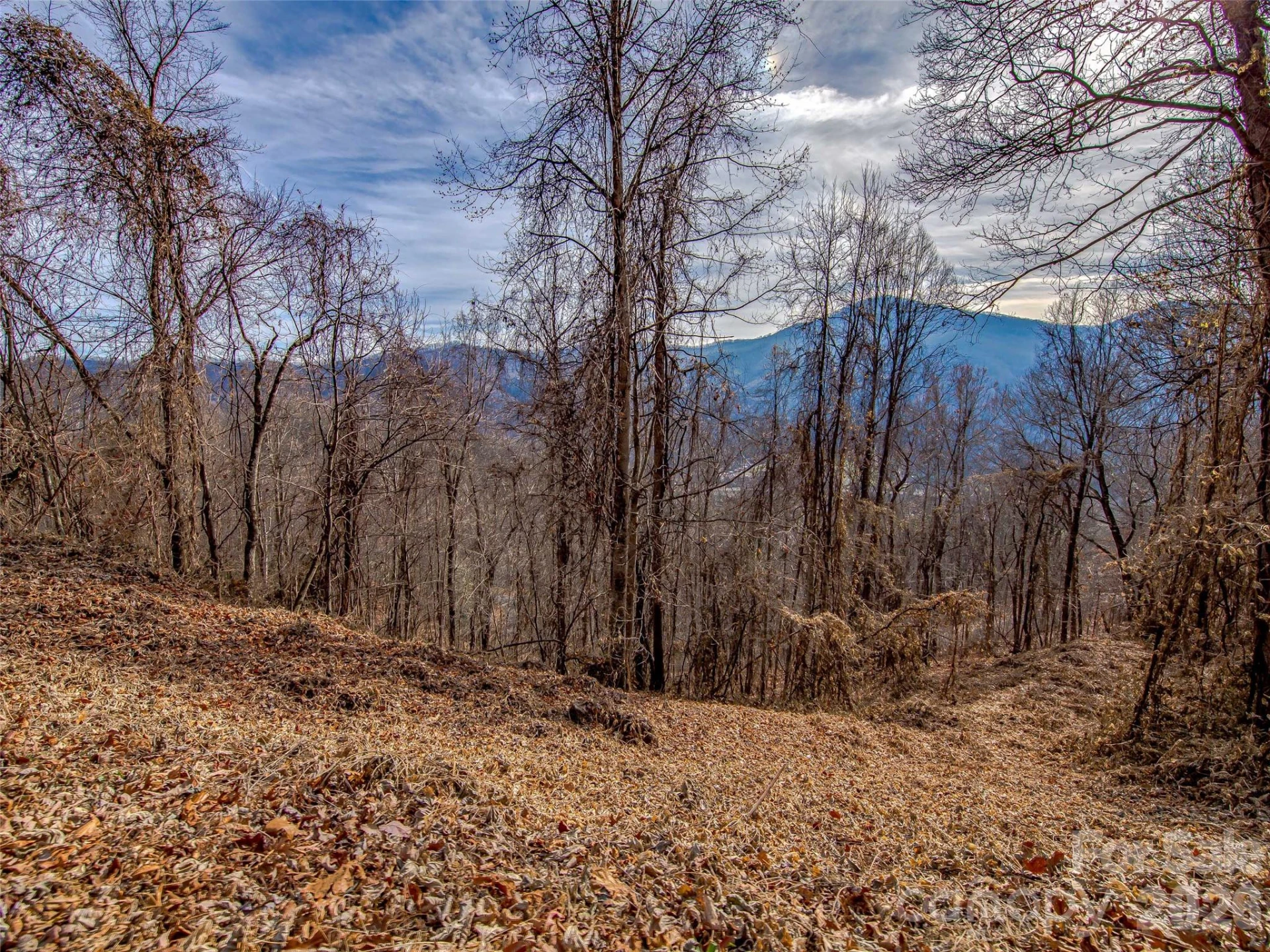 39 Grandview Cliff Heights - Photo 6