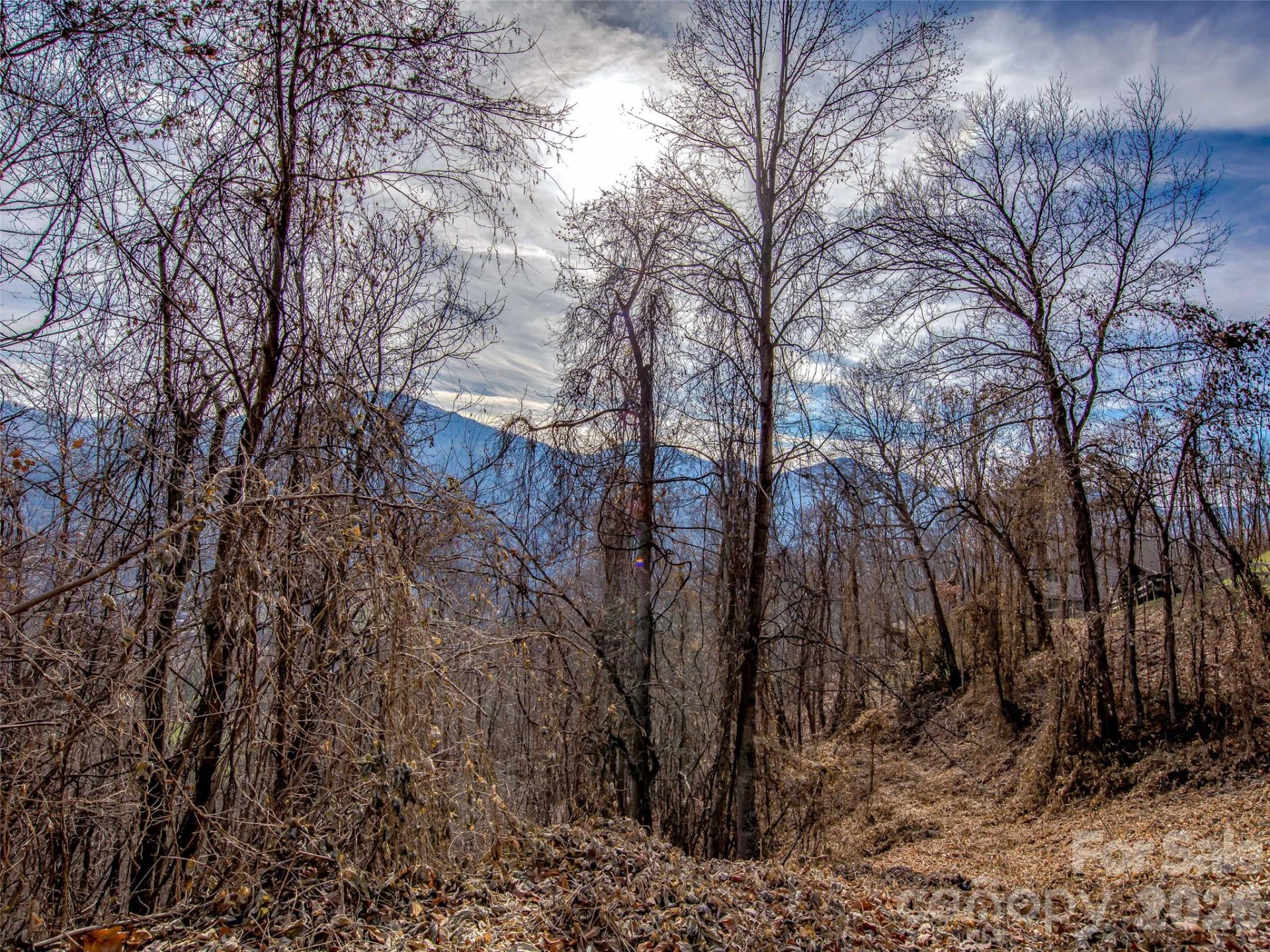 39 Grandview Cliff Heights - Photo 8