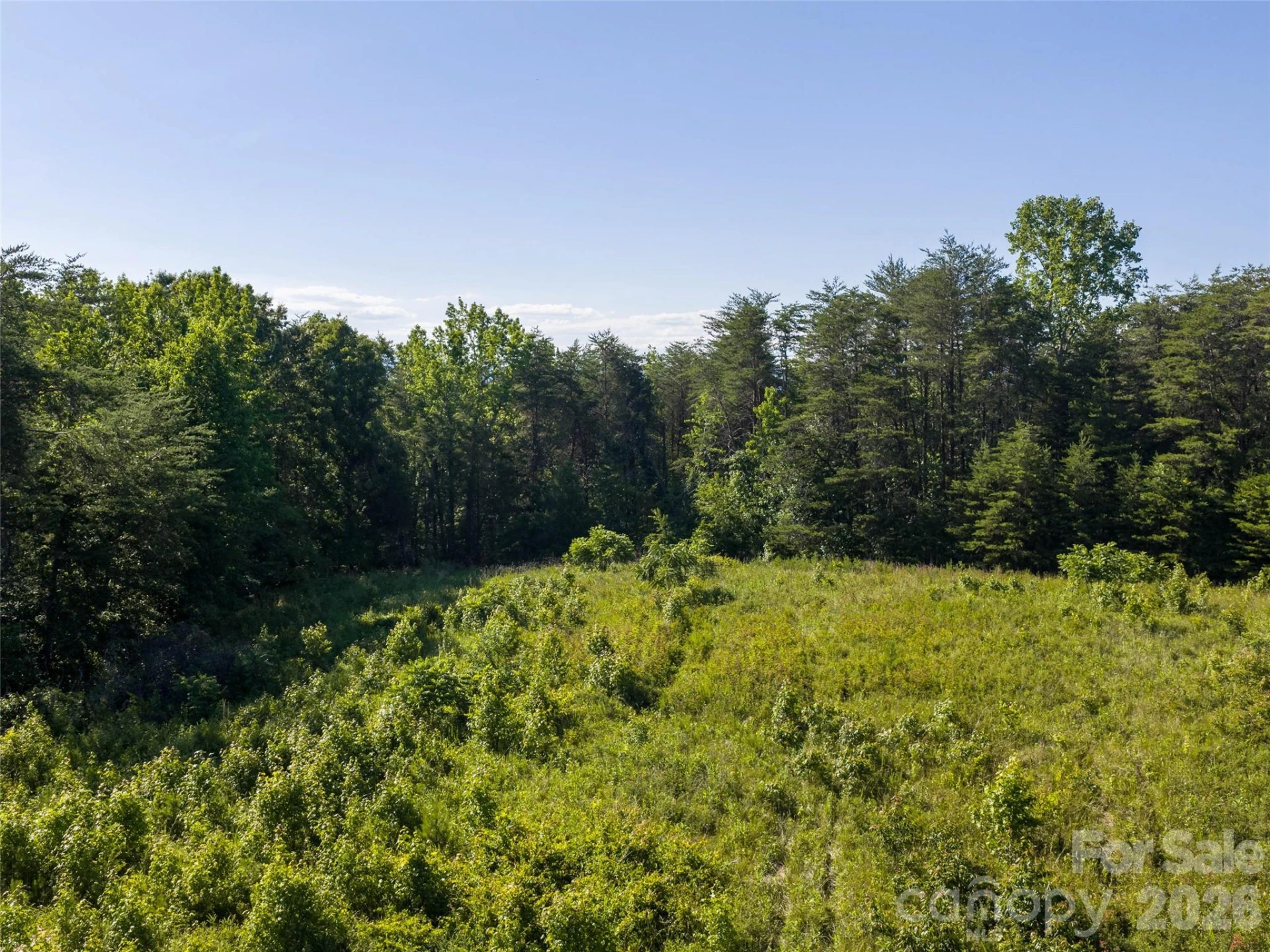 Lot 14 Saddleside Drive - Photo 2