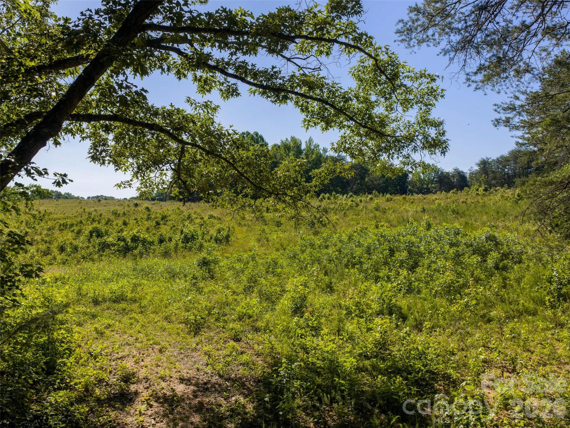 Lot 14 Saddleside Drive - Photo 4