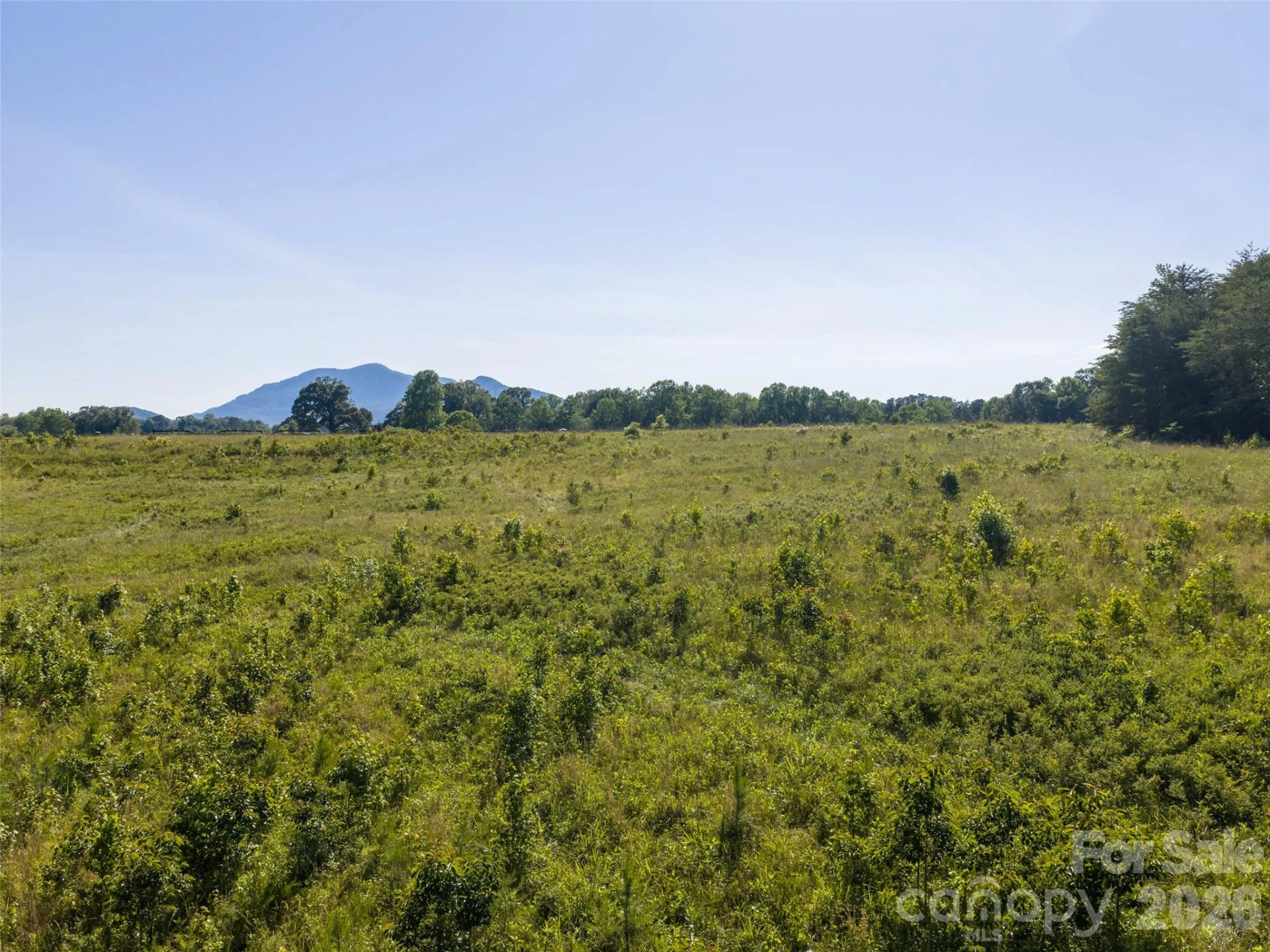 Lot 14 Saddleside Drive - Photo 5