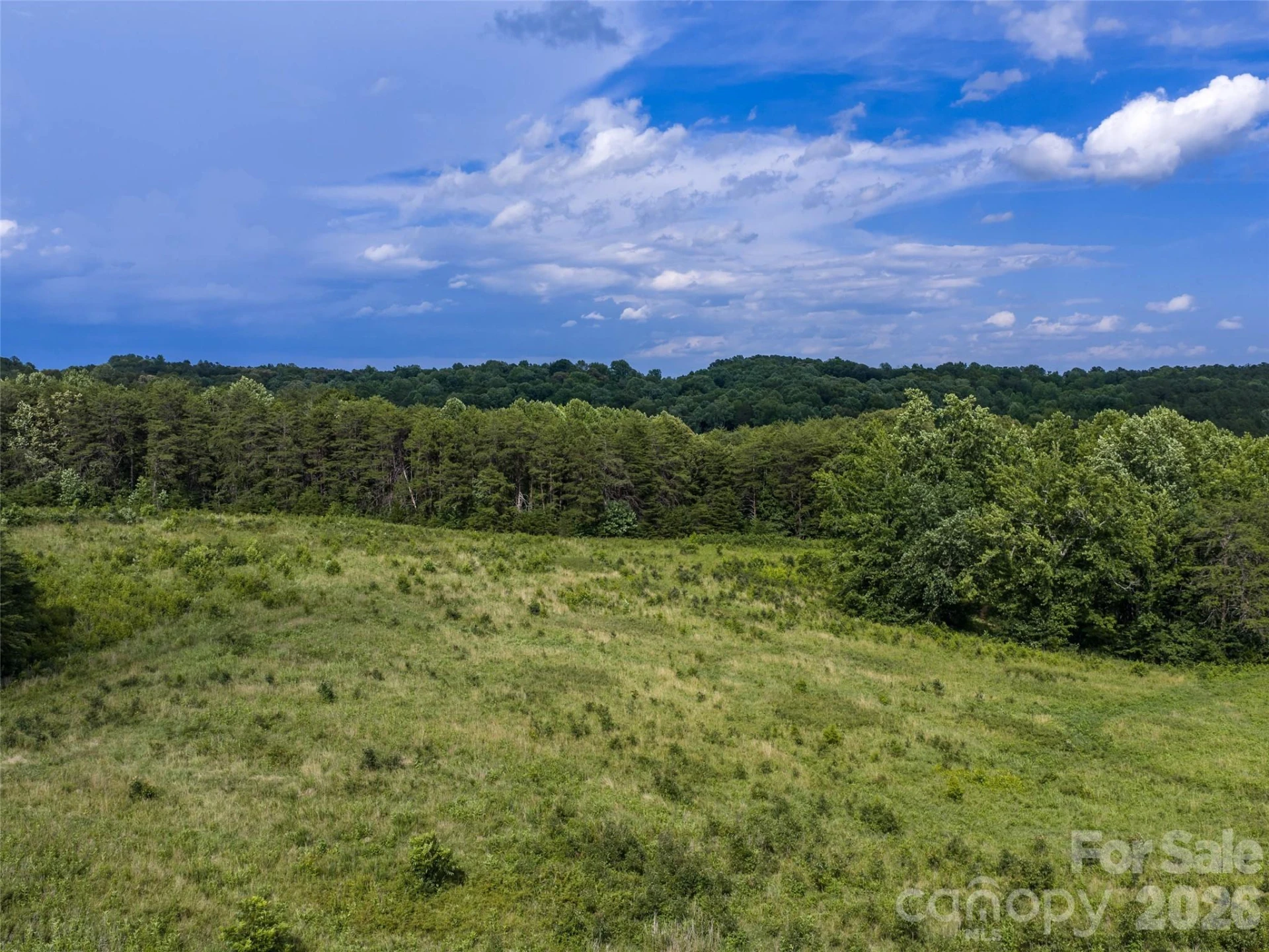 Lot 14 Saddleside Drive - Photo 9