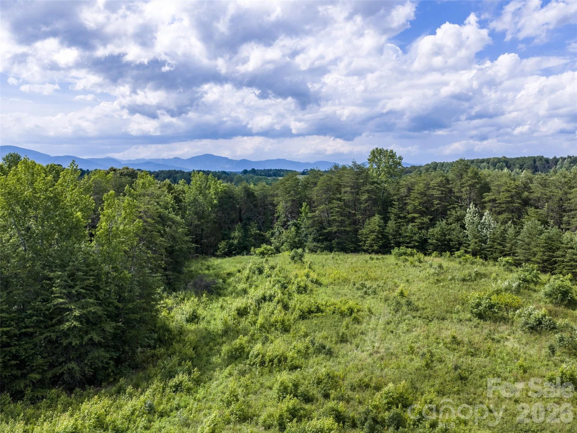 Lot 14 Saddleside Drive - Photo 10