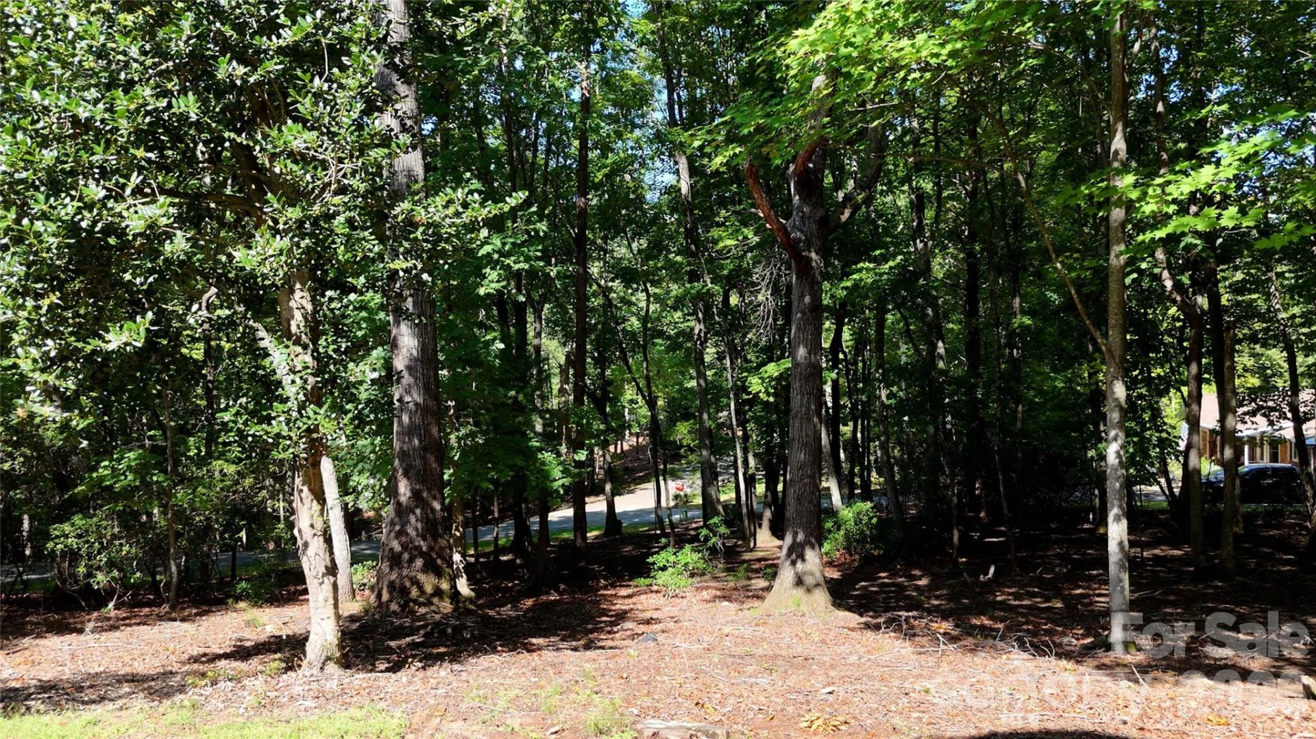 1137 Mountain Laurel Drive - Photo 46