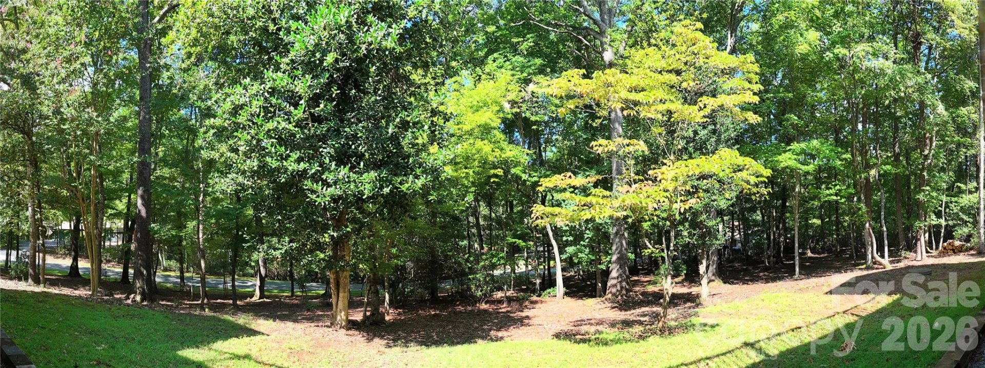 1137 Mountain Laurel Drive - Photo 47