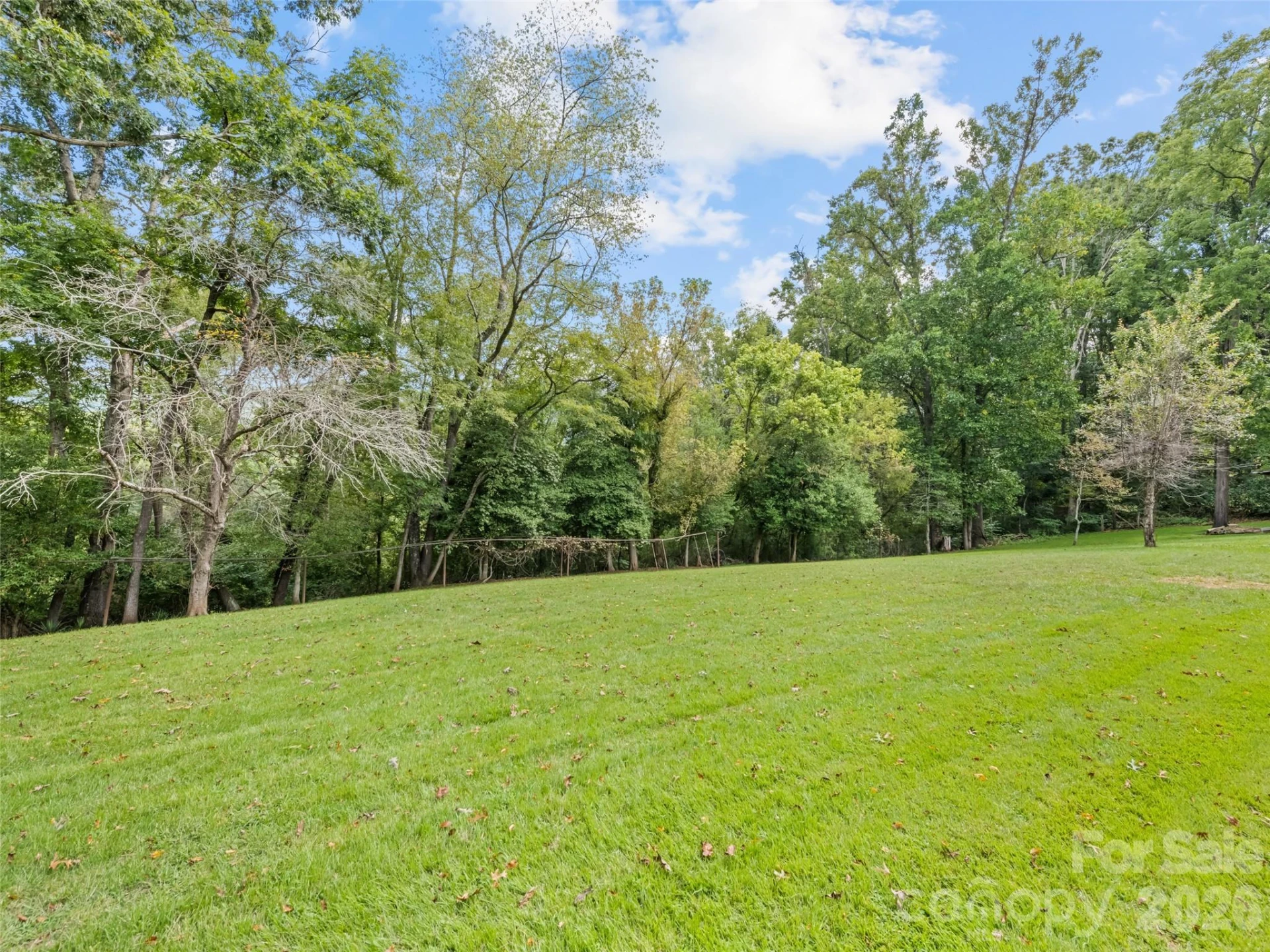 2968 Dutch Cove Road - Photo 6