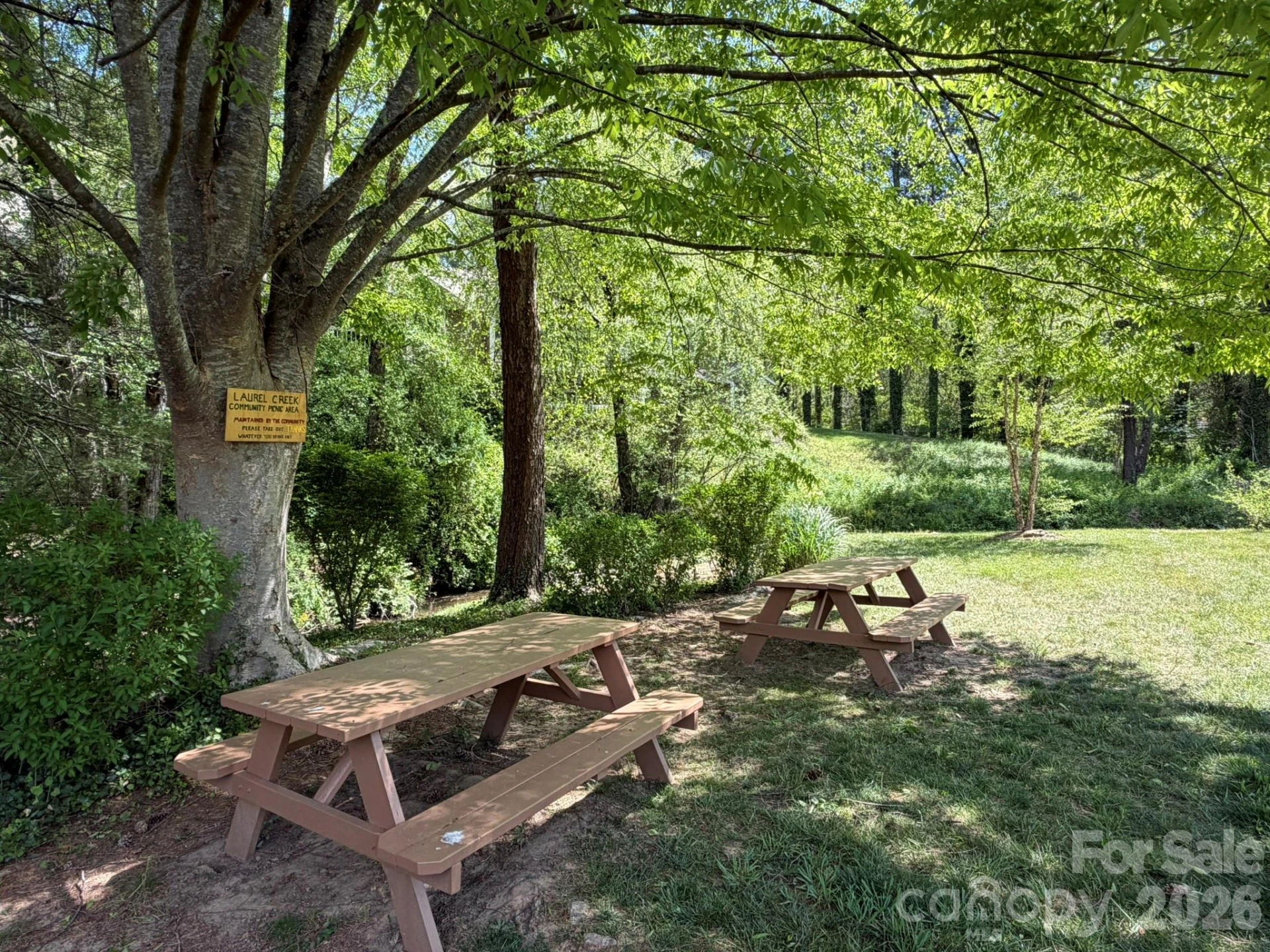 22 Willow Tree Run - Photo 35