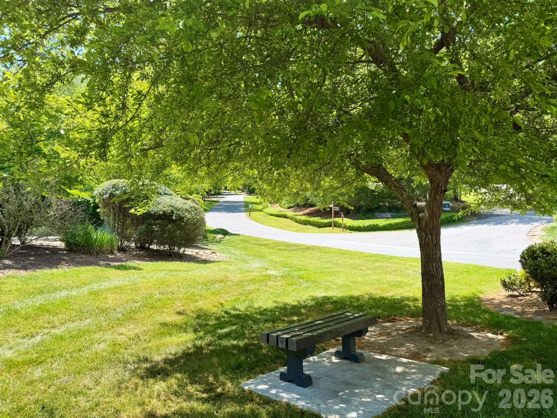 22 Willow Tree Run - Photo 39