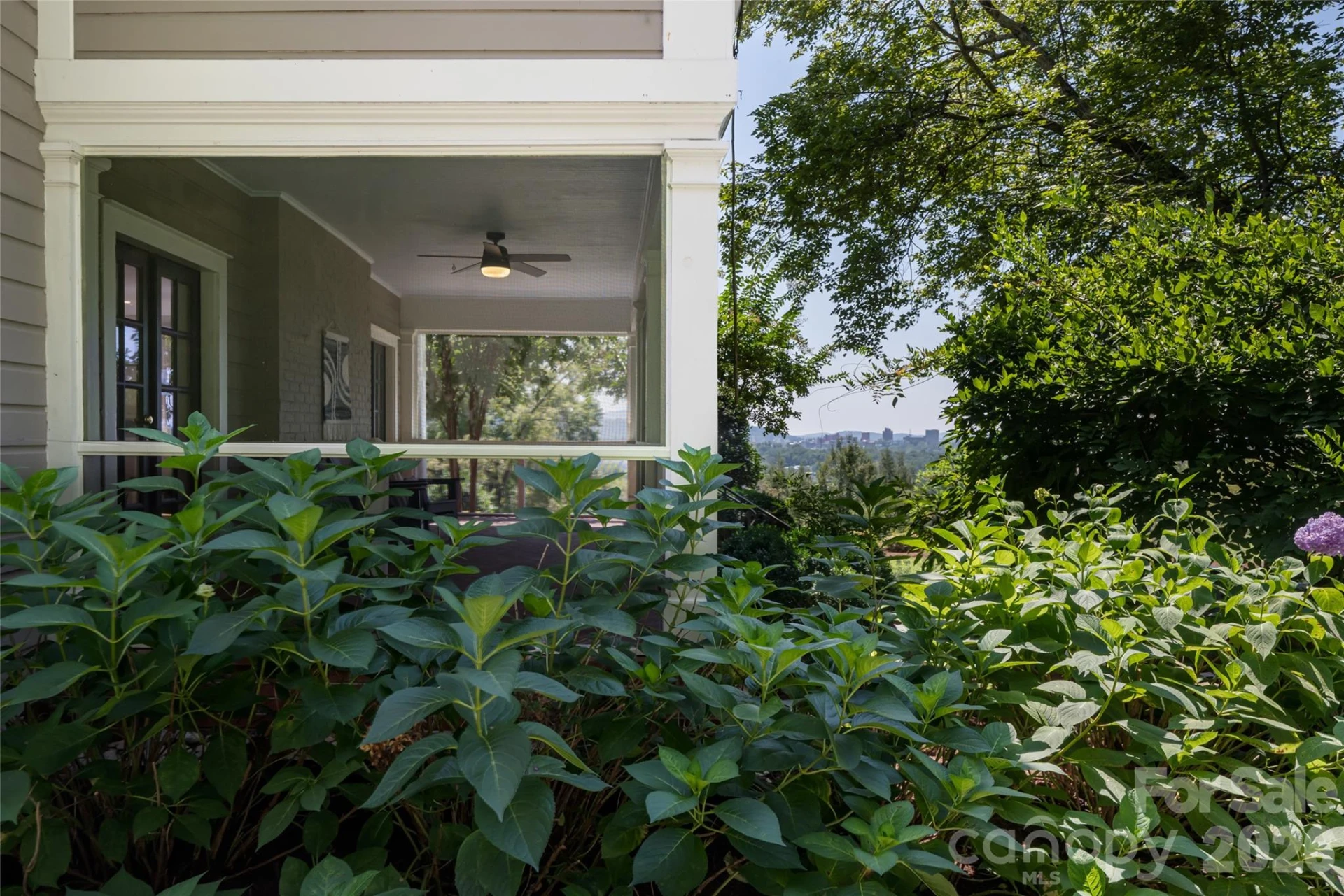35 Elias Place - Photo 41