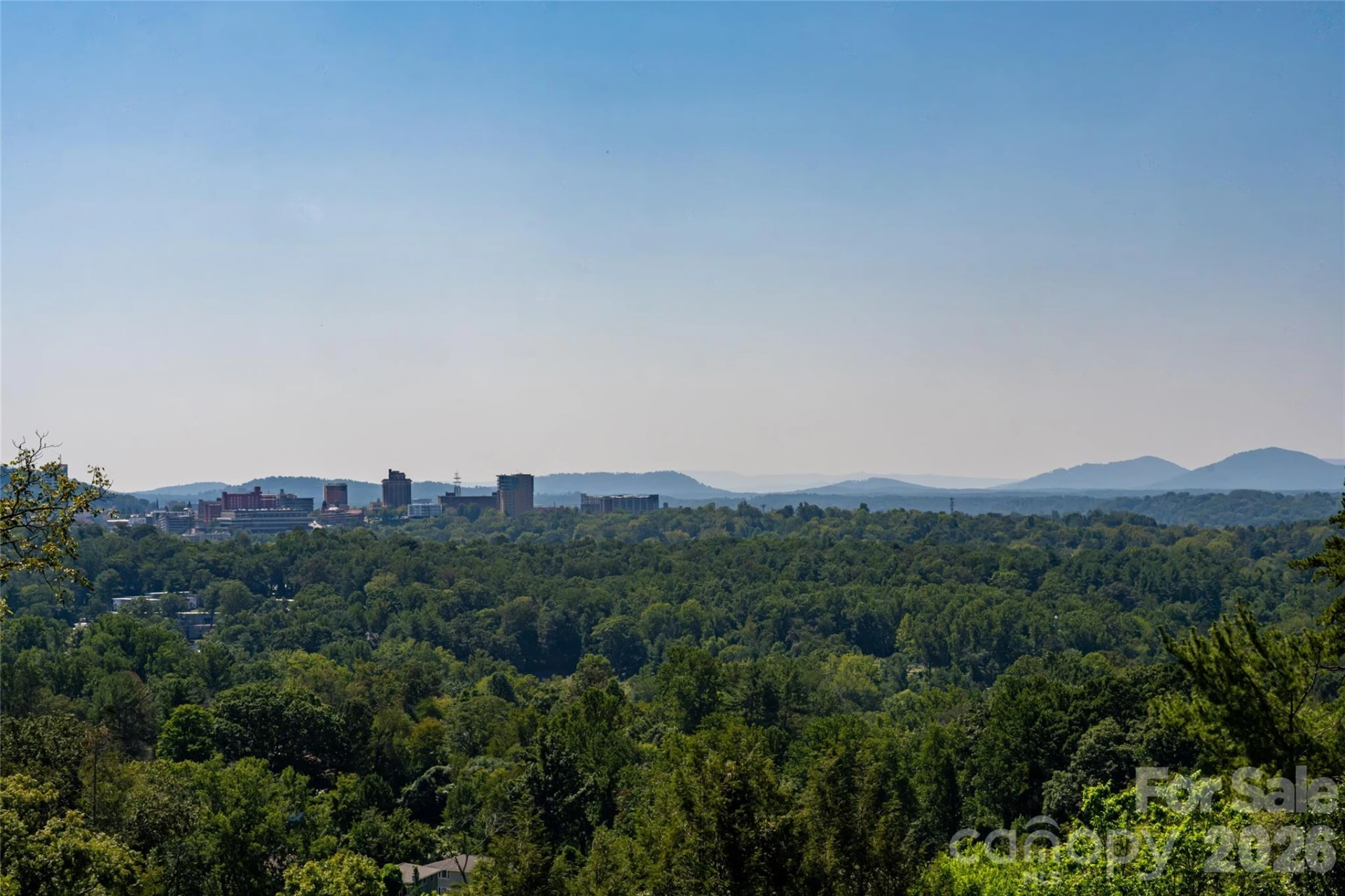 35 Elias Place - Photo 42
