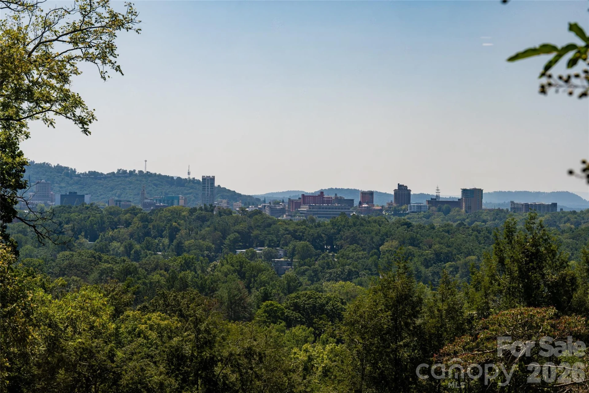 35 Elias Place - Photo 46