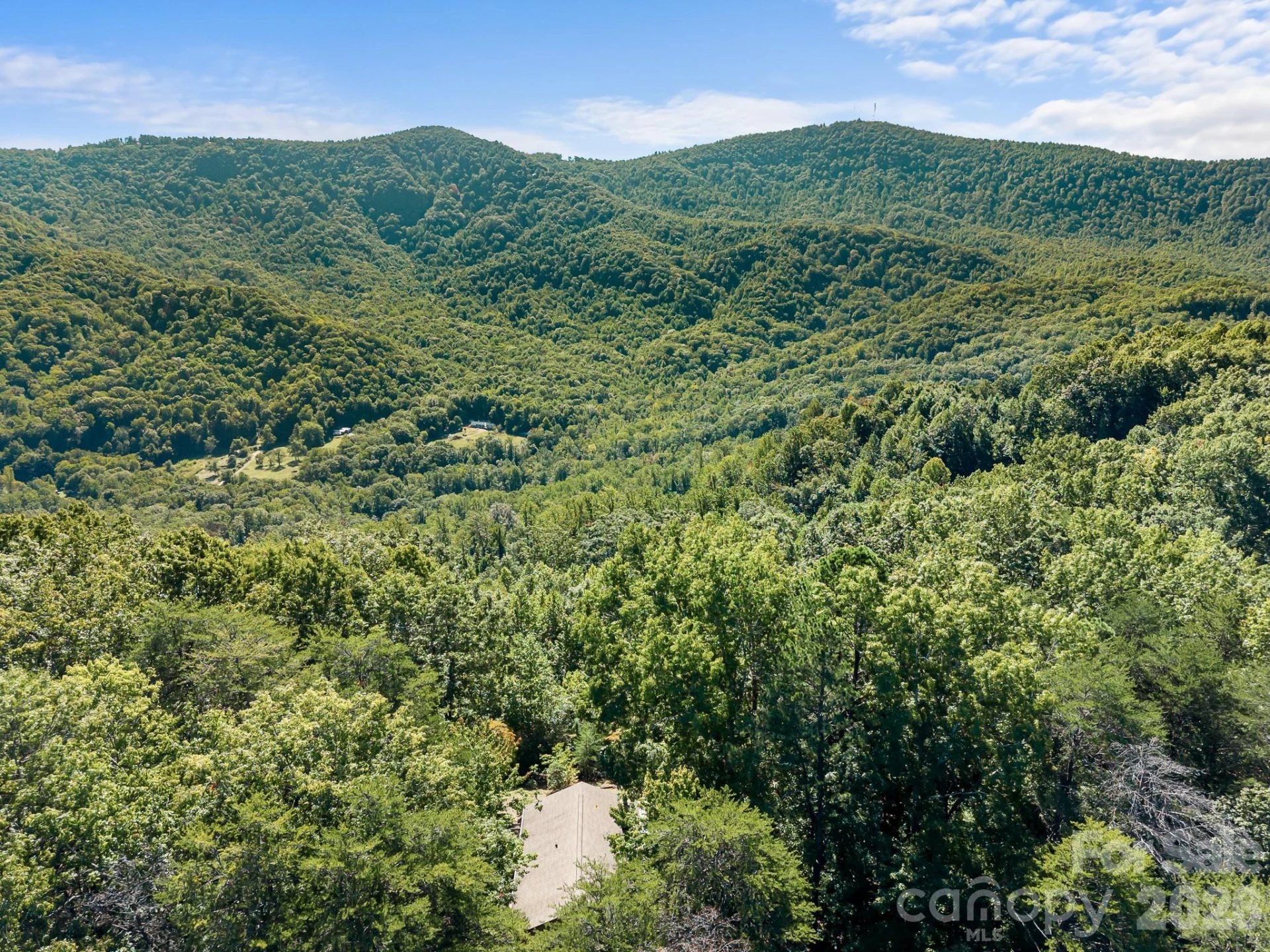 600 Piney Gate Road - Photo 2