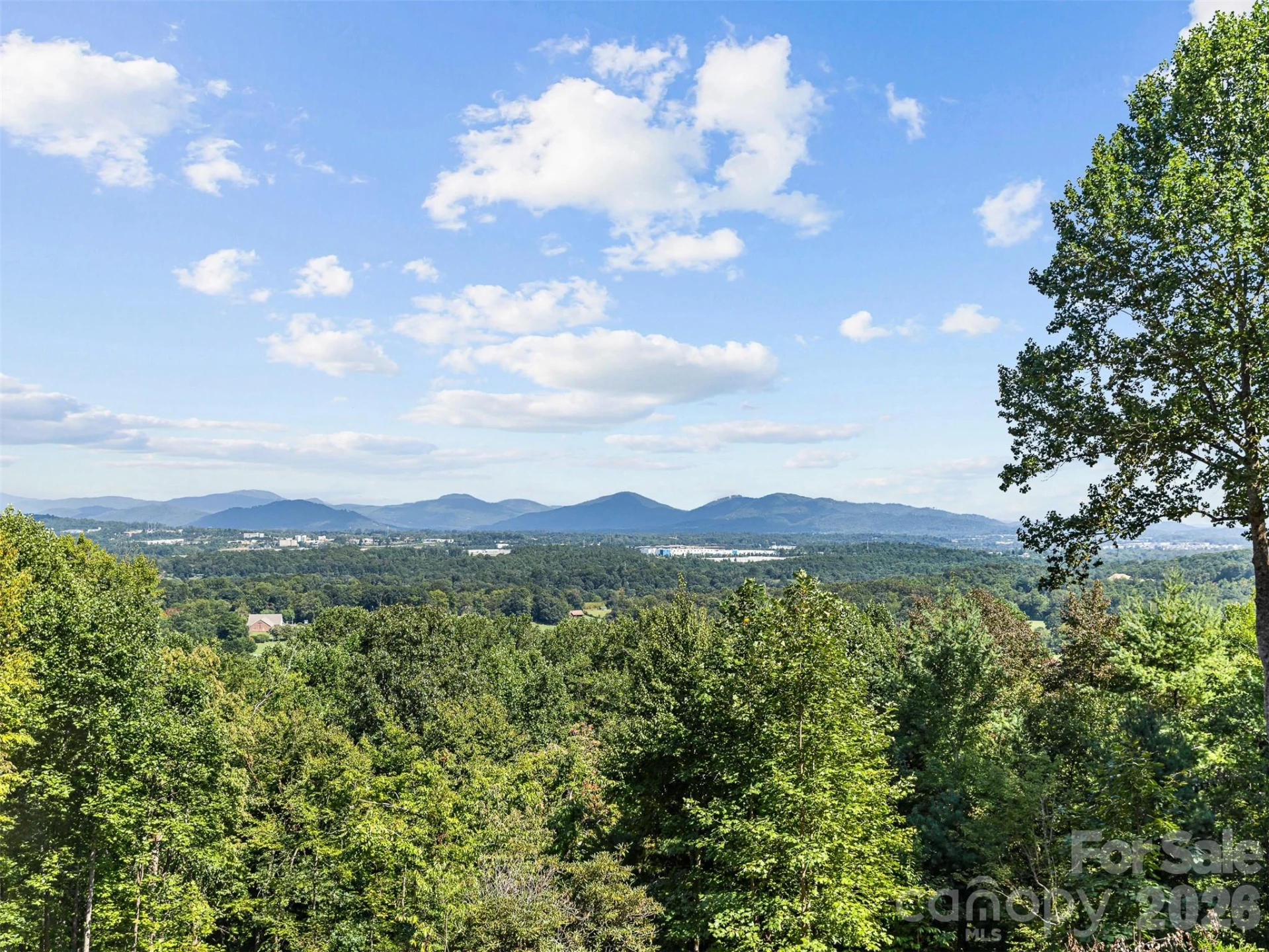 114 Split Rock Trail #8 - Photo 3