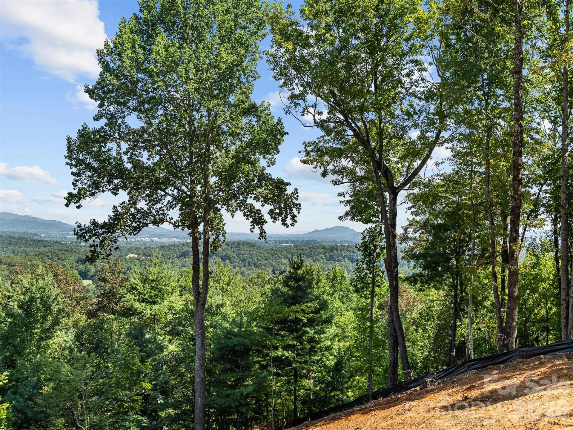 114 Split Rock Trail #8 - Photo 19