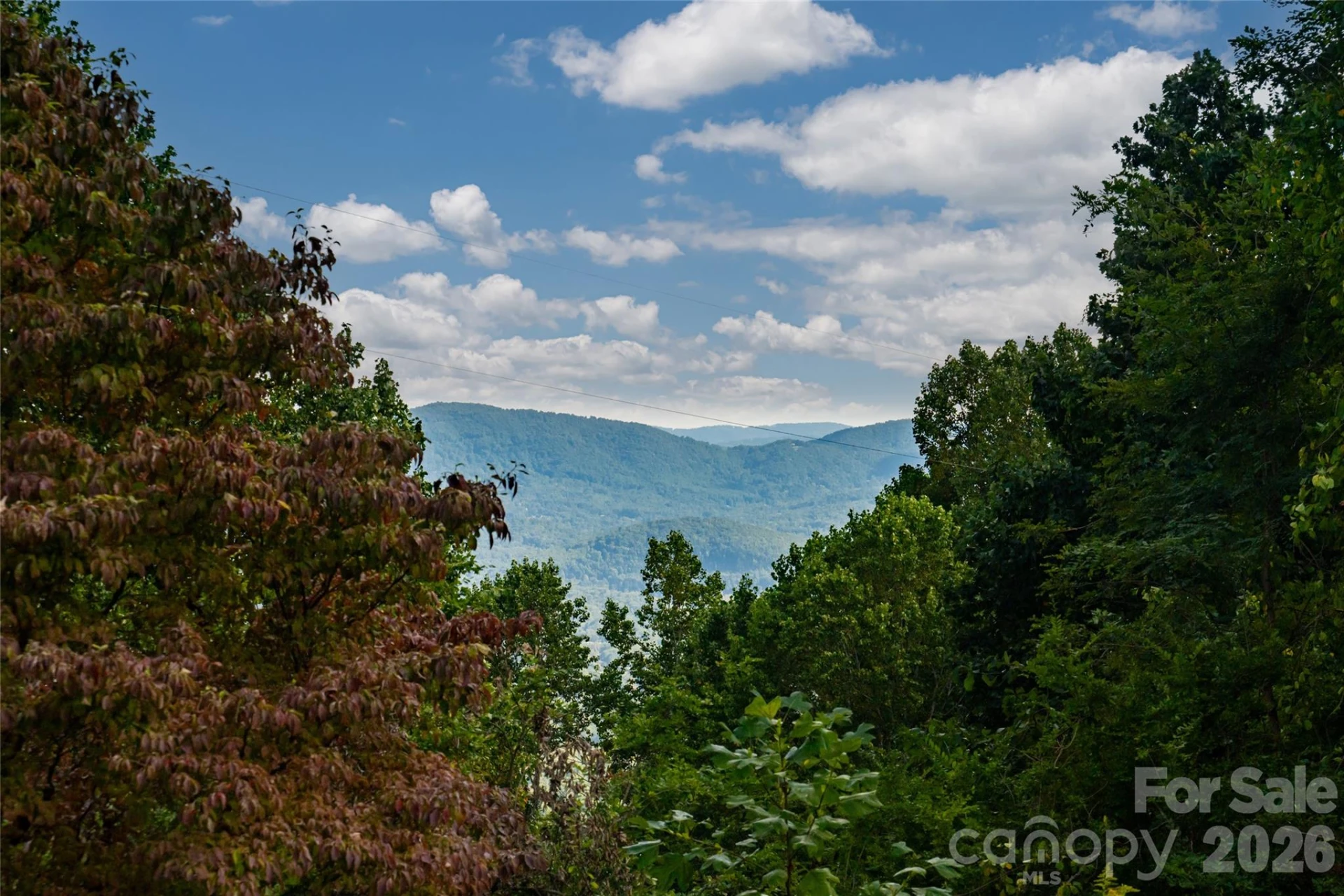 5 Meadow Ridge Drive - Photo 34