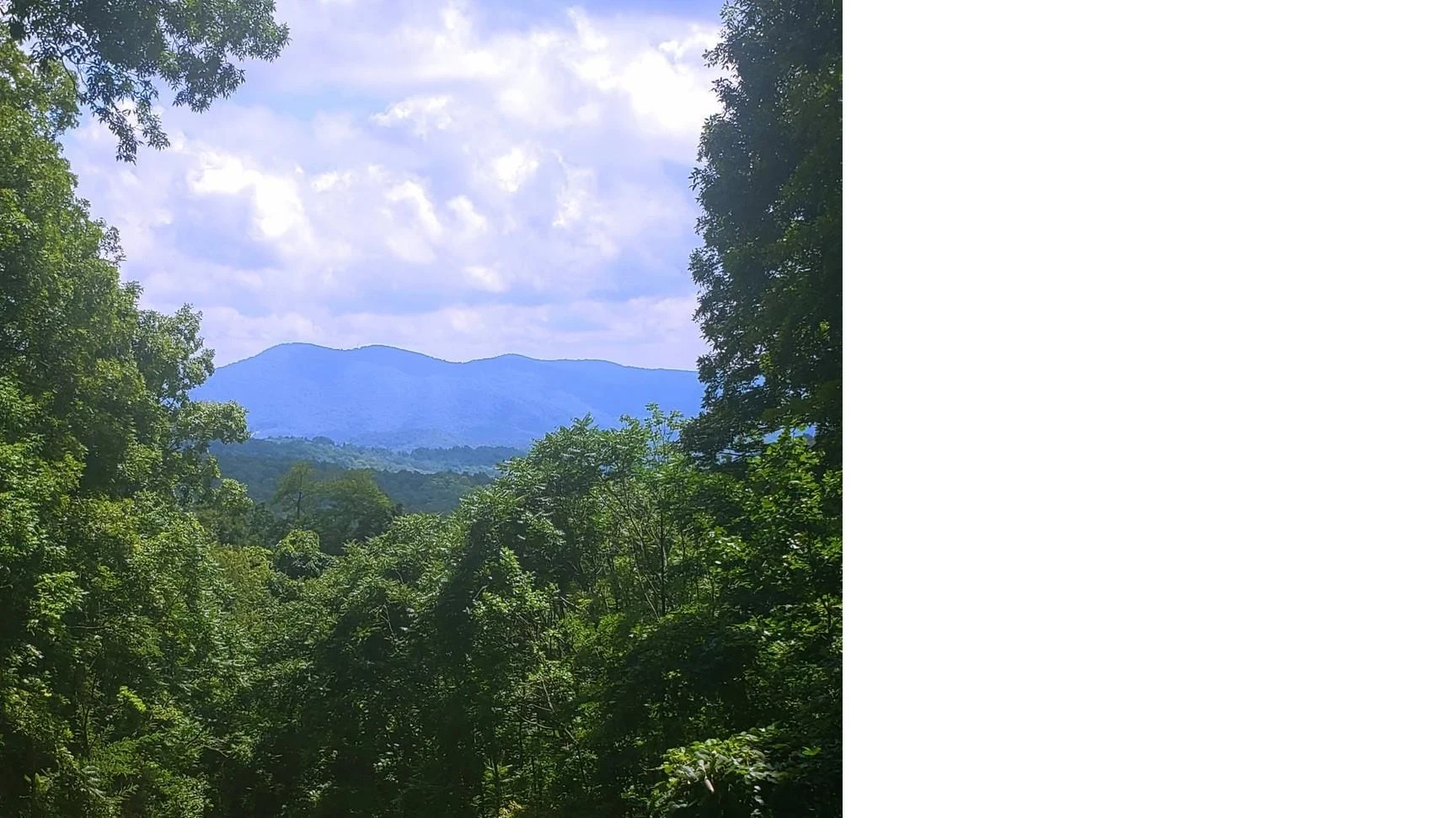 2705 Sand Branch Road - Photo 42