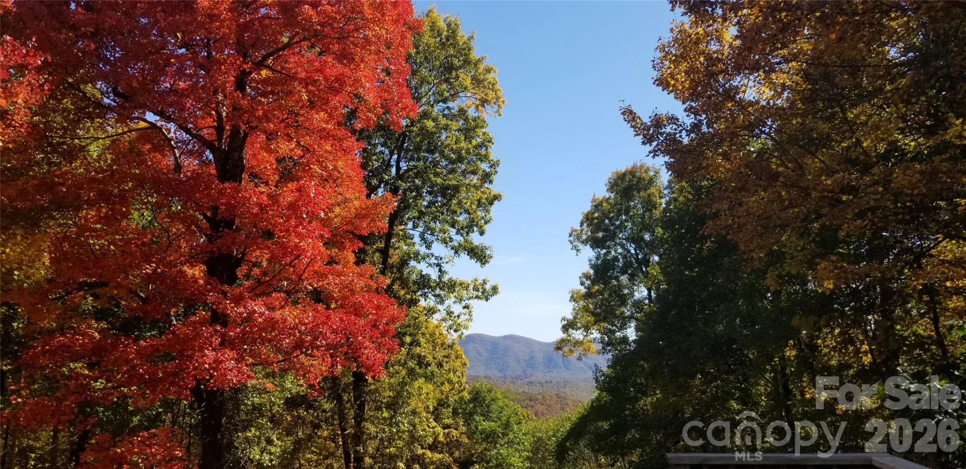 2705 Sand Branch Road - Photo 46