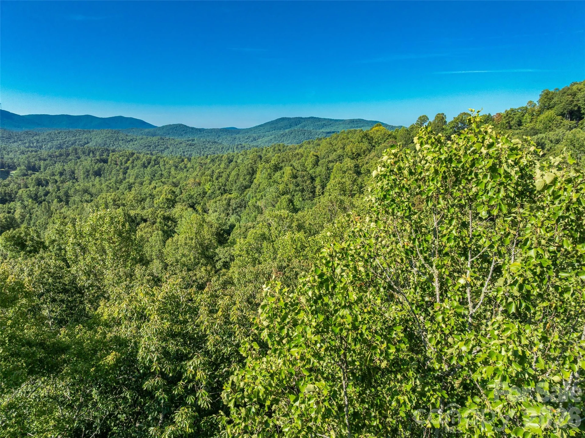 129 Falls Summit Road #385 - Photo 9
