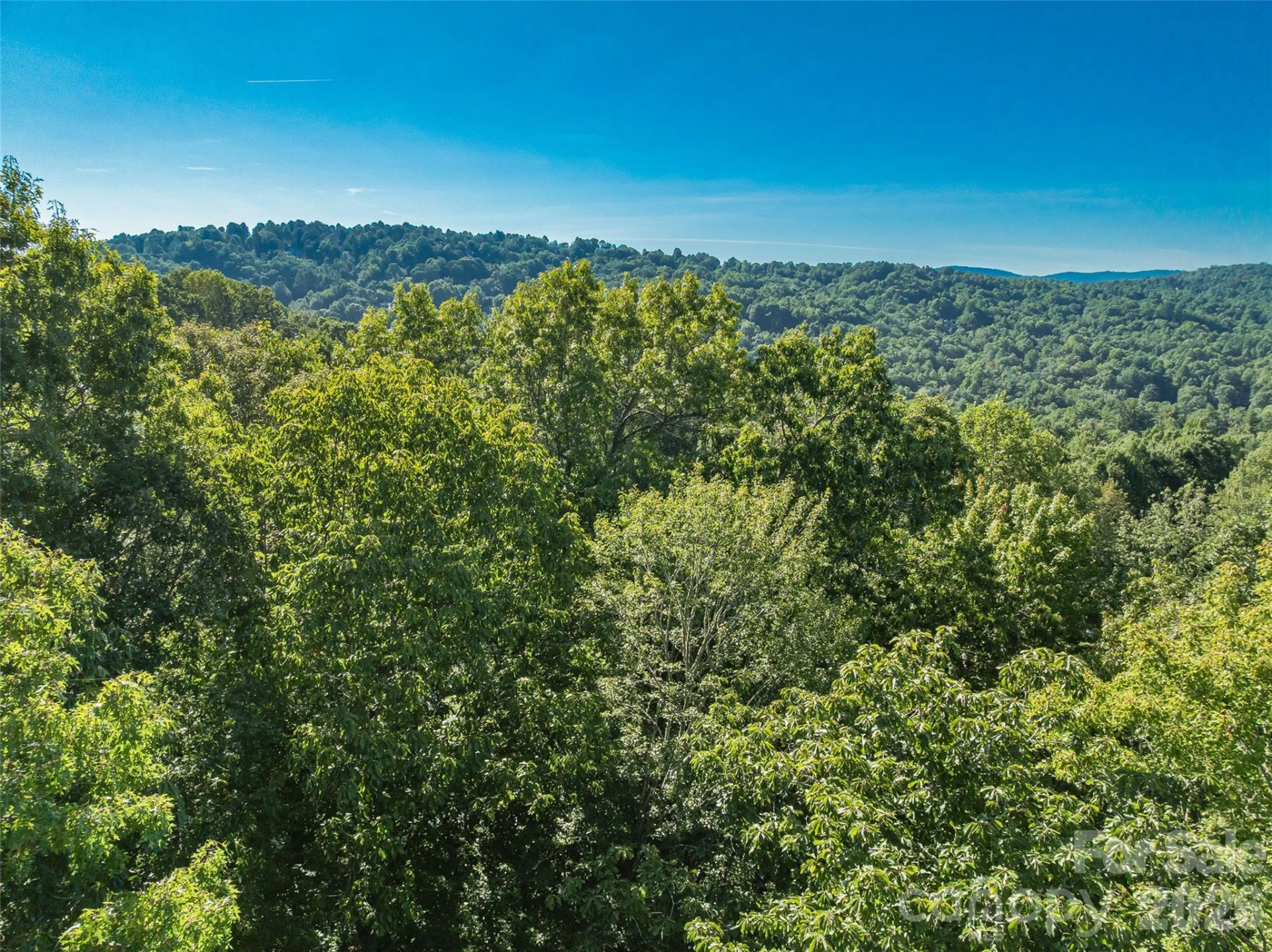 129 Falls Summit Road #385 - Photo 16