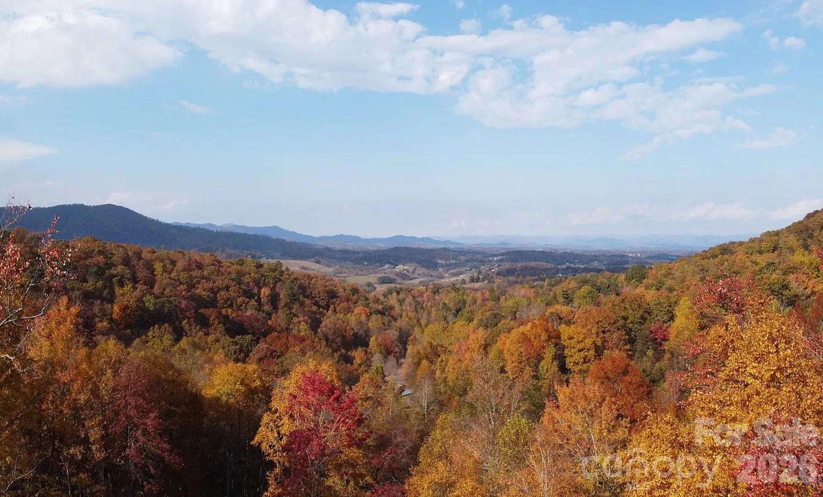 71 View Ridge Parkway - Photo 30