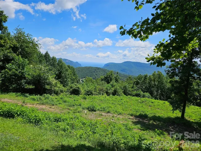 1233 Grand Oaks Drive, Hendersonville, NC, 28792