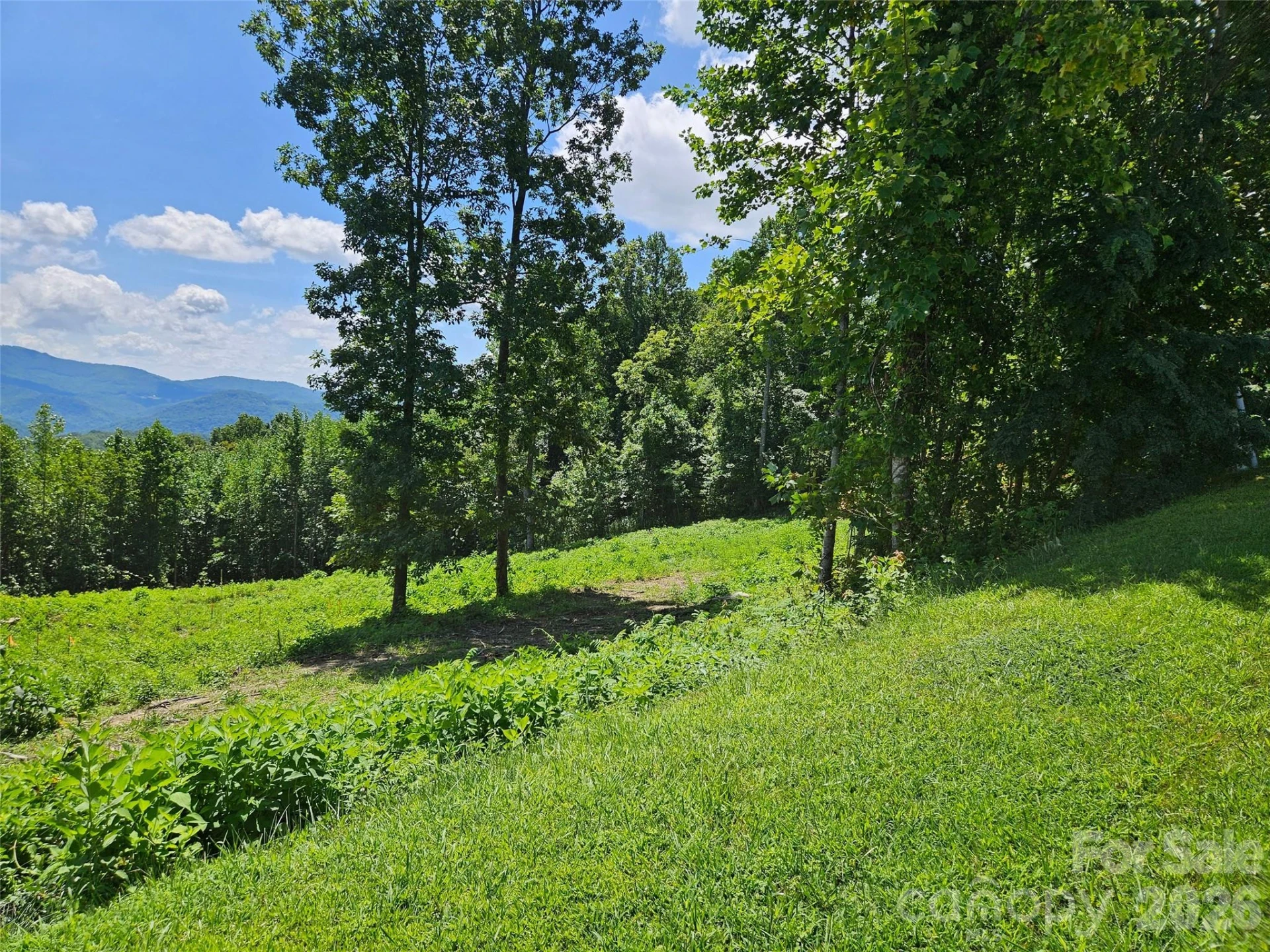 1233 Grand Oaks Drive #43 - Photo 2