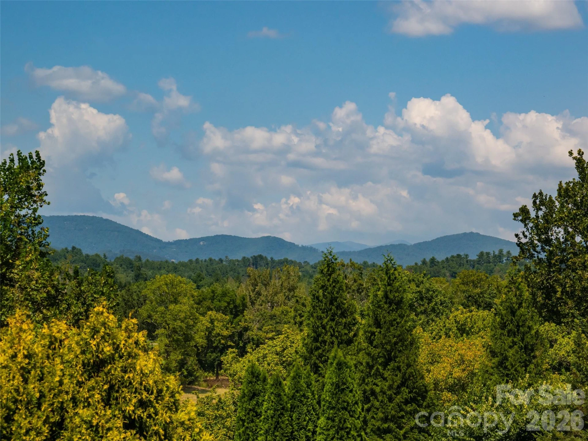 3 Blue Heron Drive - Photo 2