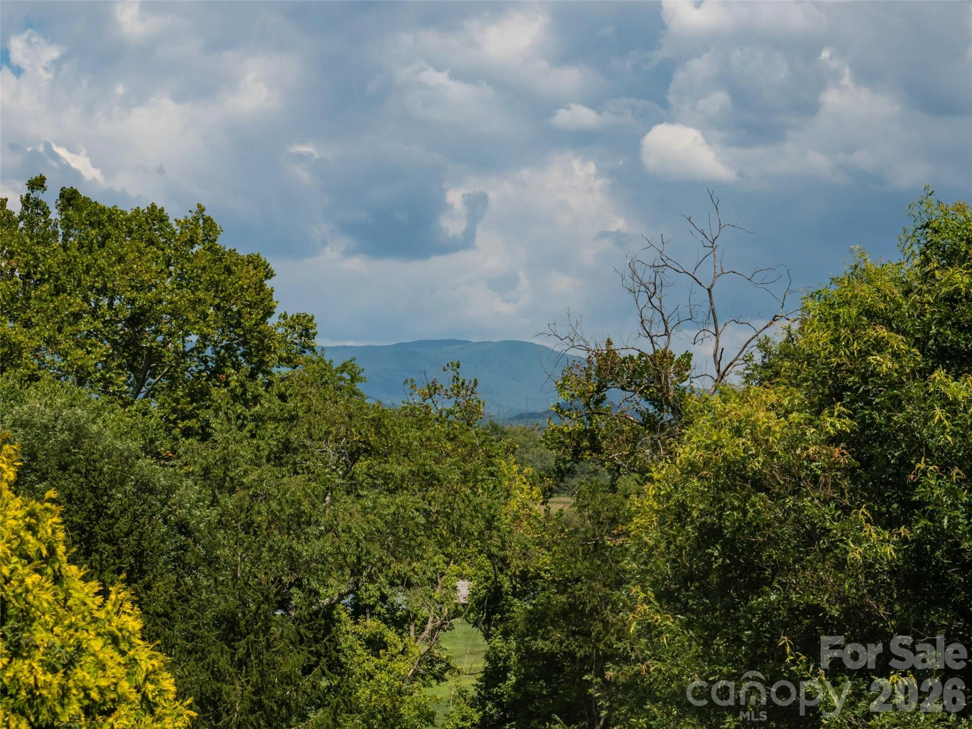 3 Blue Heron Drive - Photo 36