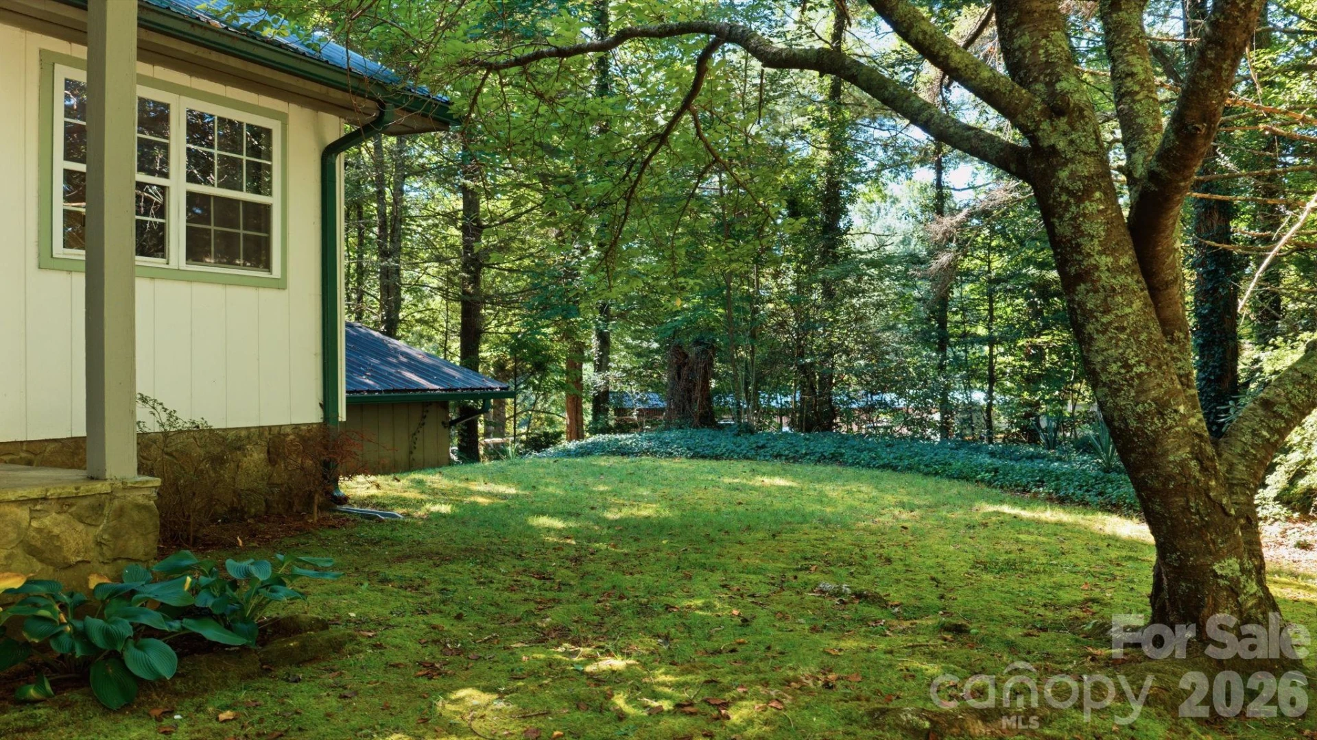 97 Walter McNeely Road - Photo 41
