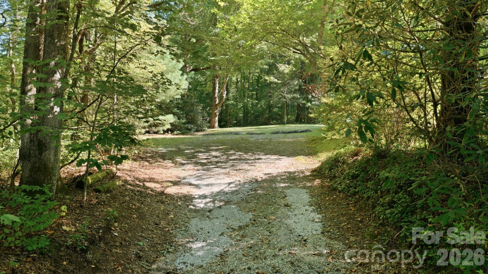 97 Walter McNeely Road - Photo 44