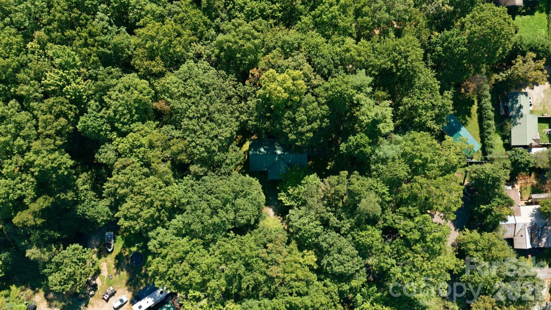 97 Walter McNeely Road - Photo 46