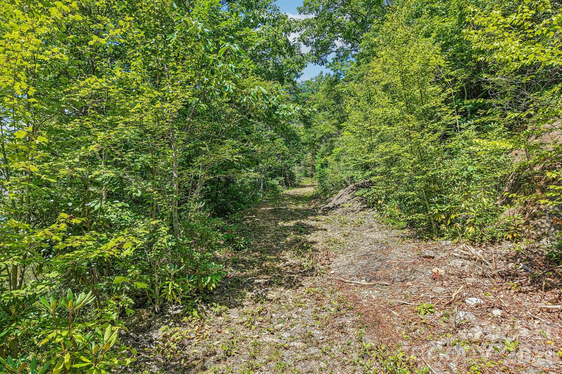 G6 Ataya Trail - Photo 2