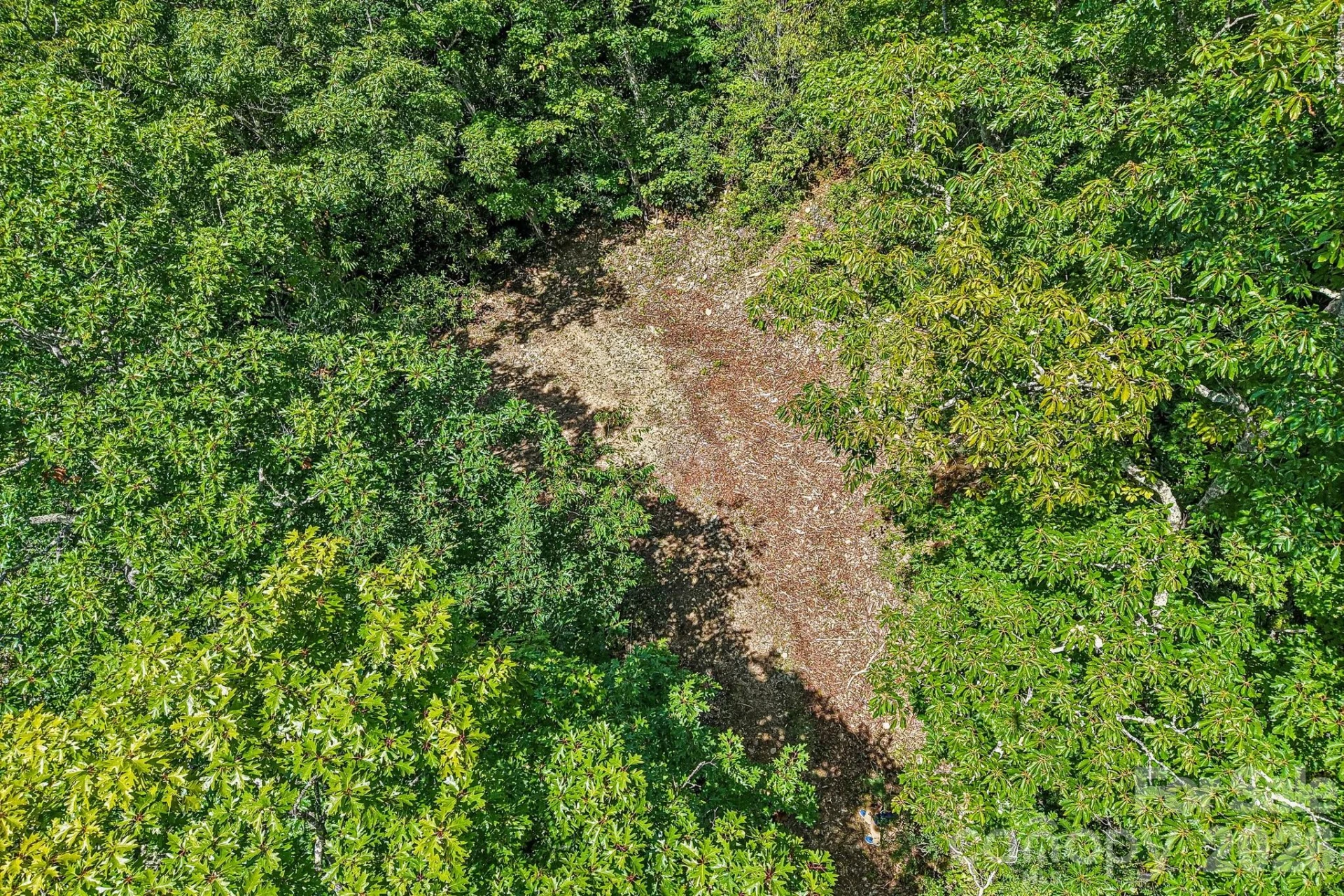 G6 Ataya Trail - Photo 3