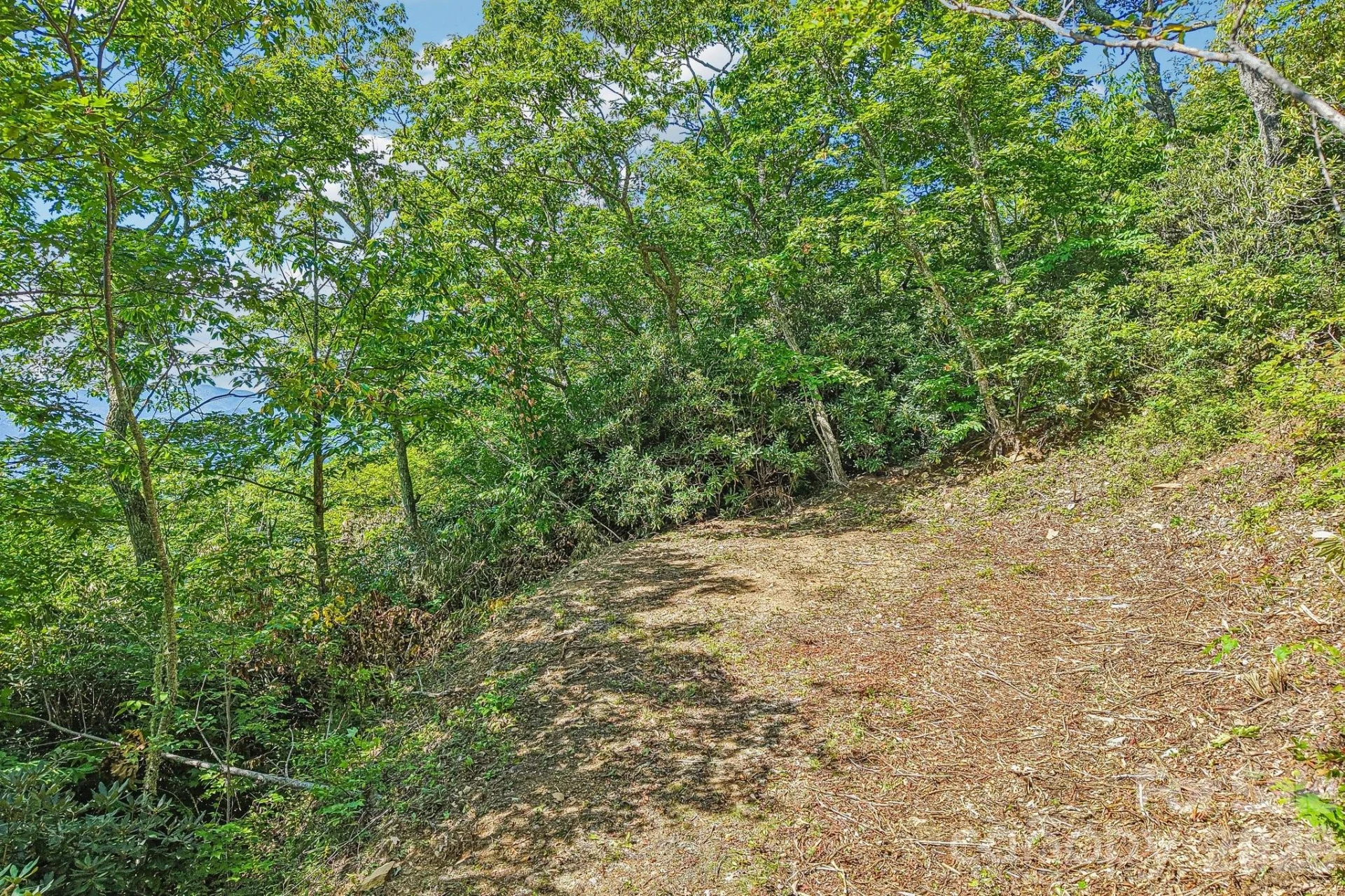 G6 Ataya Trail - Photo 4