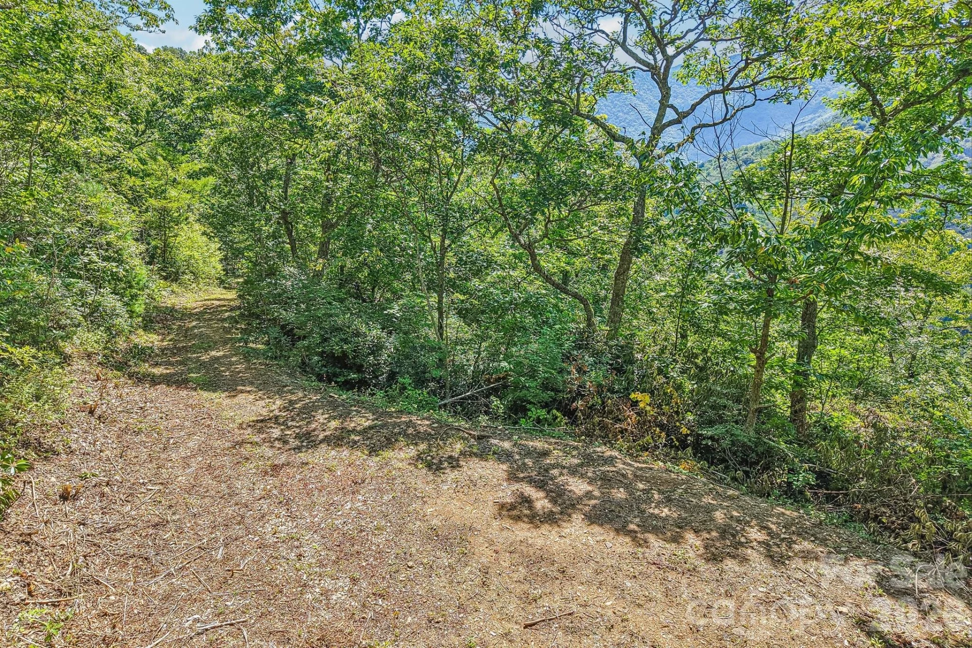 G6 Ataya Trail - Photo 6
