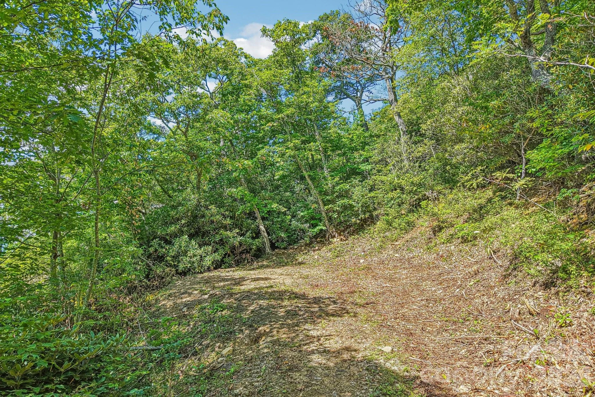 G6 Ataya Trail - Photo 7