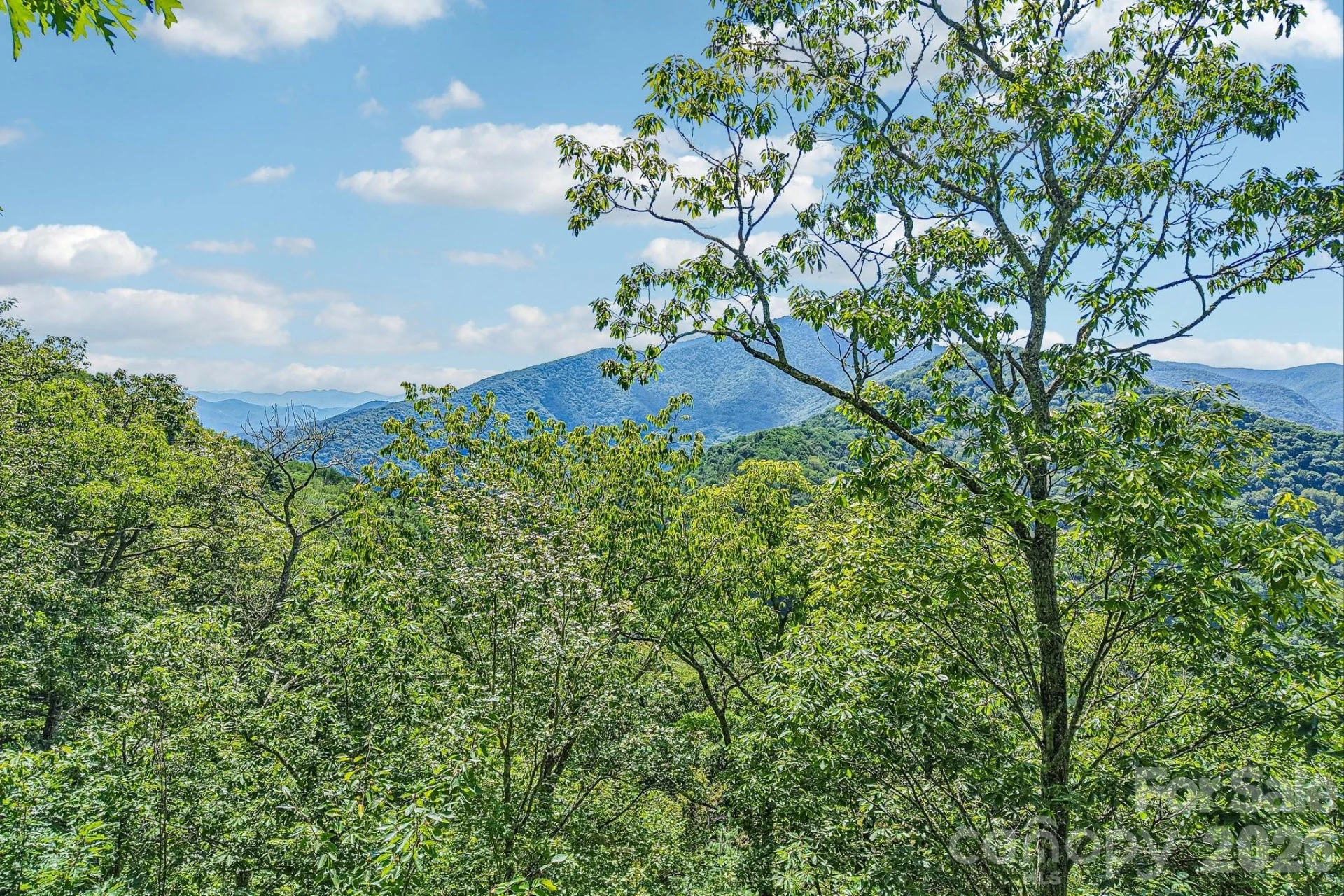 G6 Ataya Trail - Photo 8