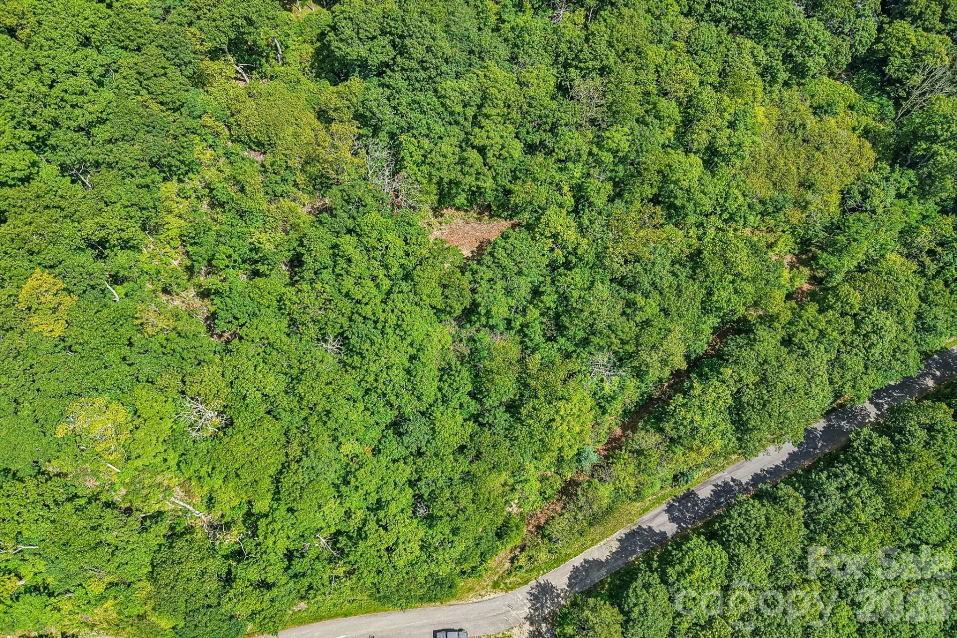 G6 Ataya Trail - Photo 11