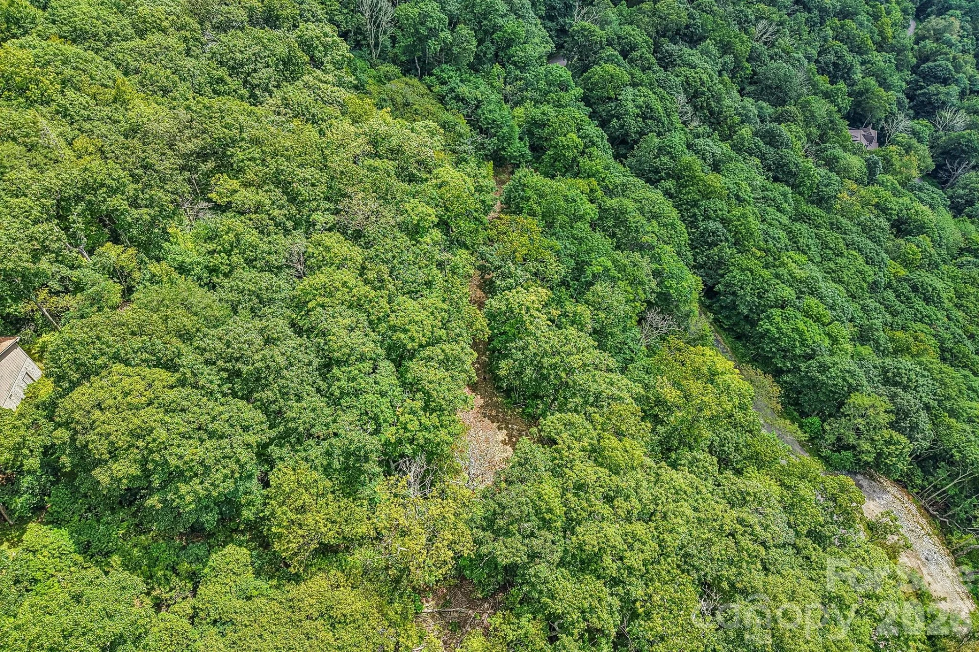 G6 Ataya Trail - Photo 12