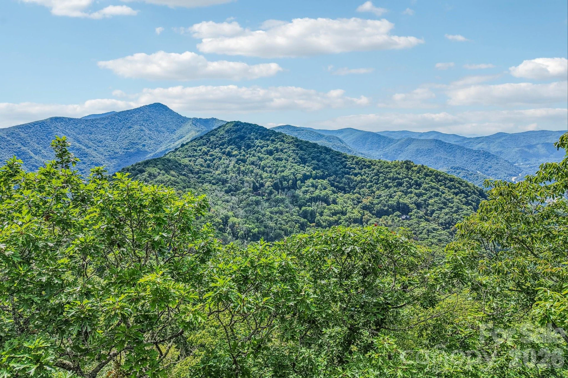 G6 Ataya Trail - Photo 13