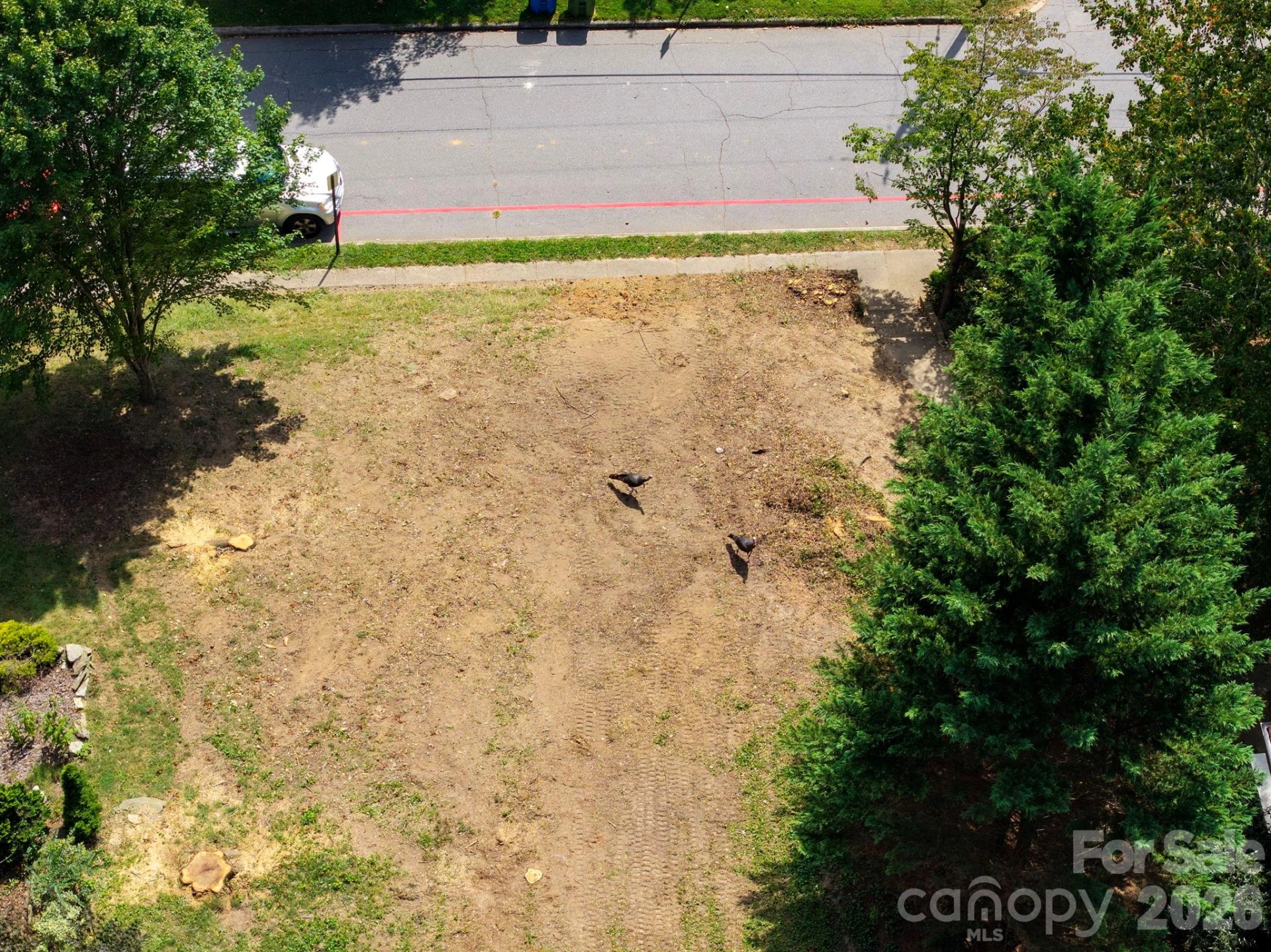 99999 Maney Avenue #A - Photo 11